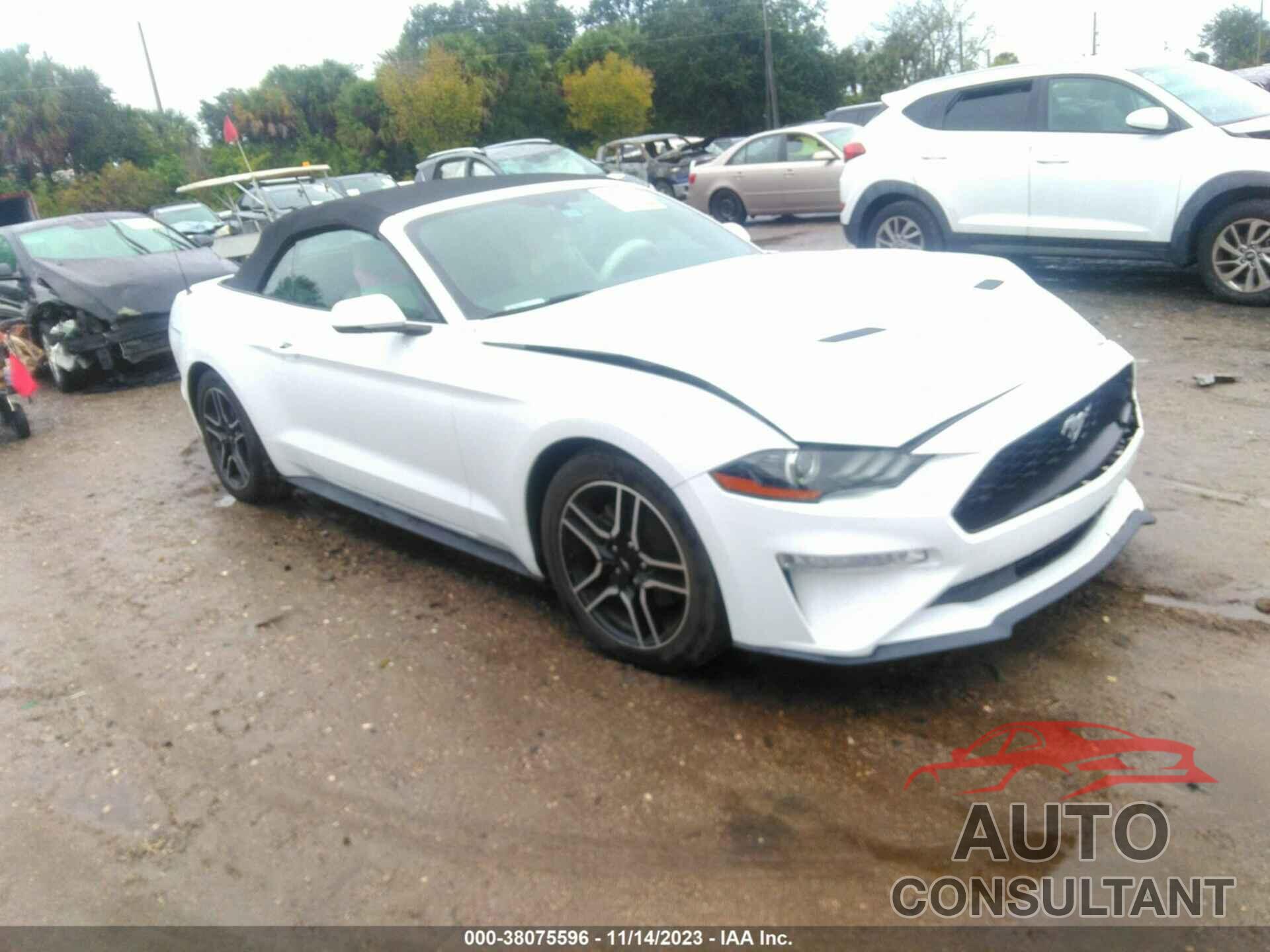 FORD MUSTANG 2019 - 1FATP8UH4K5181834