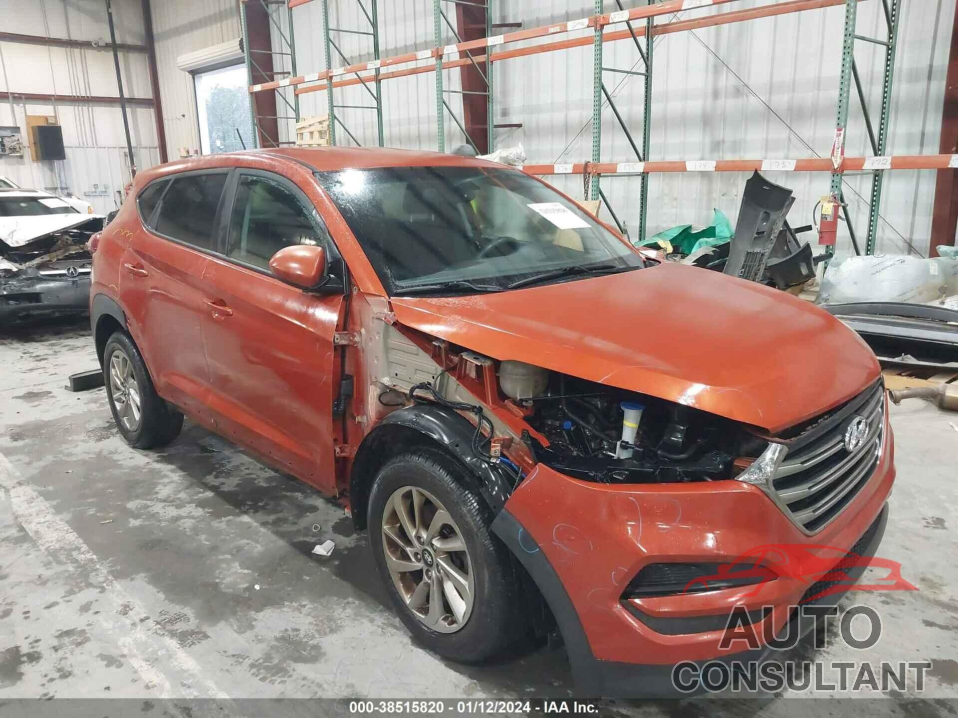 HYUNDAI TUCSON 2017 - KM8J23A43HU341328