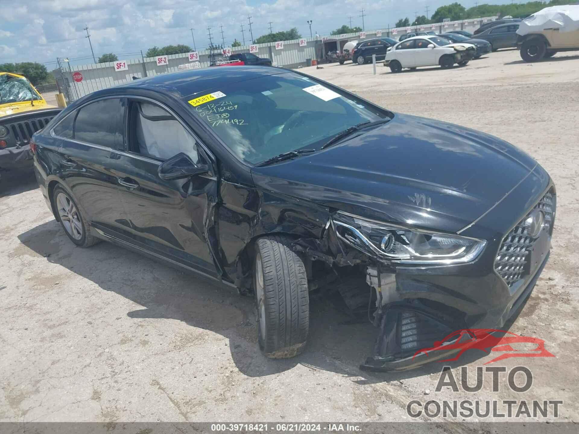 HYUNDAI SONATA 2019 - 5NPE34AF6KH774492