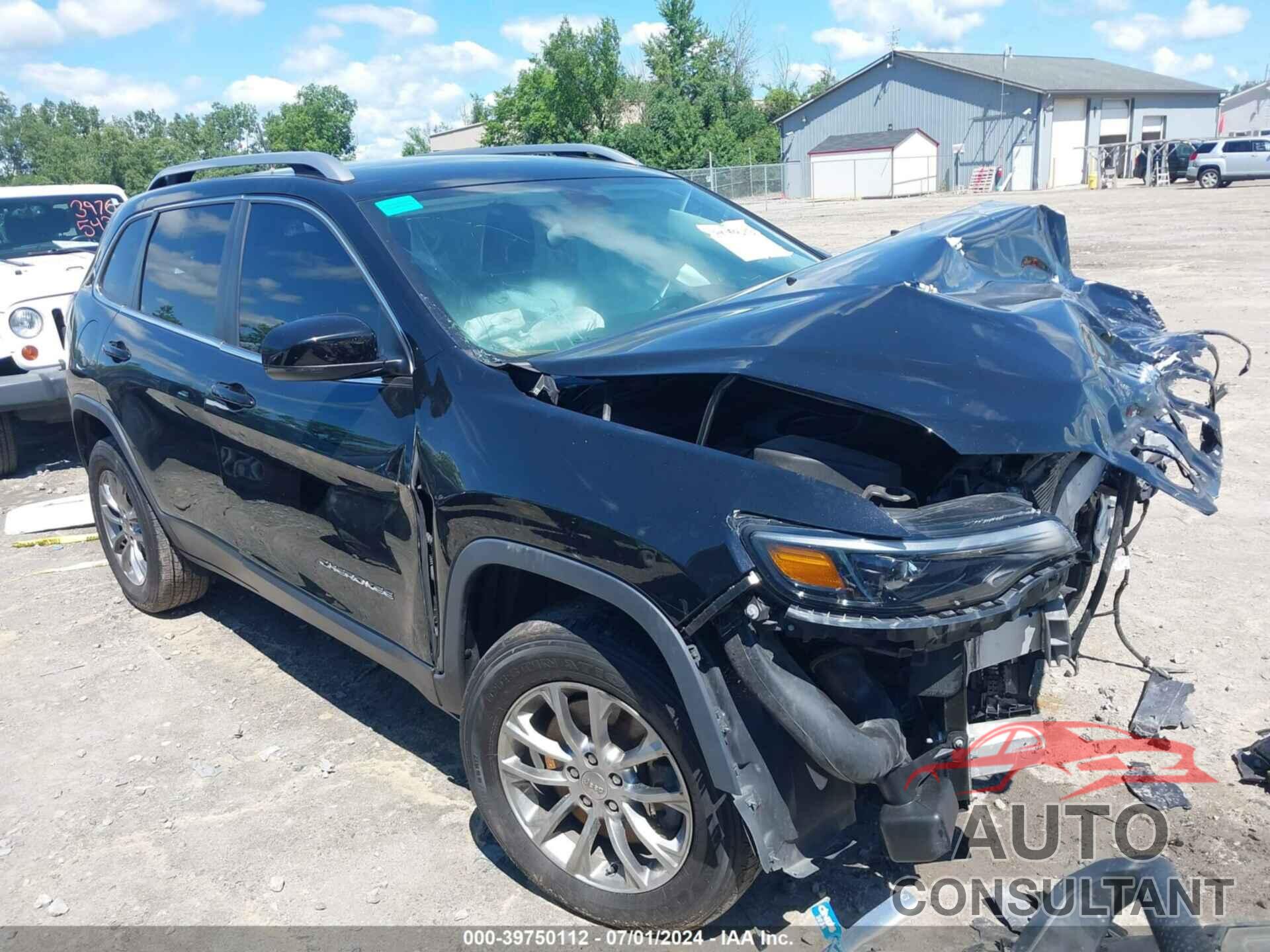 JEEP CHEROKEE 2019 - 1C4PJMLX6KD118223