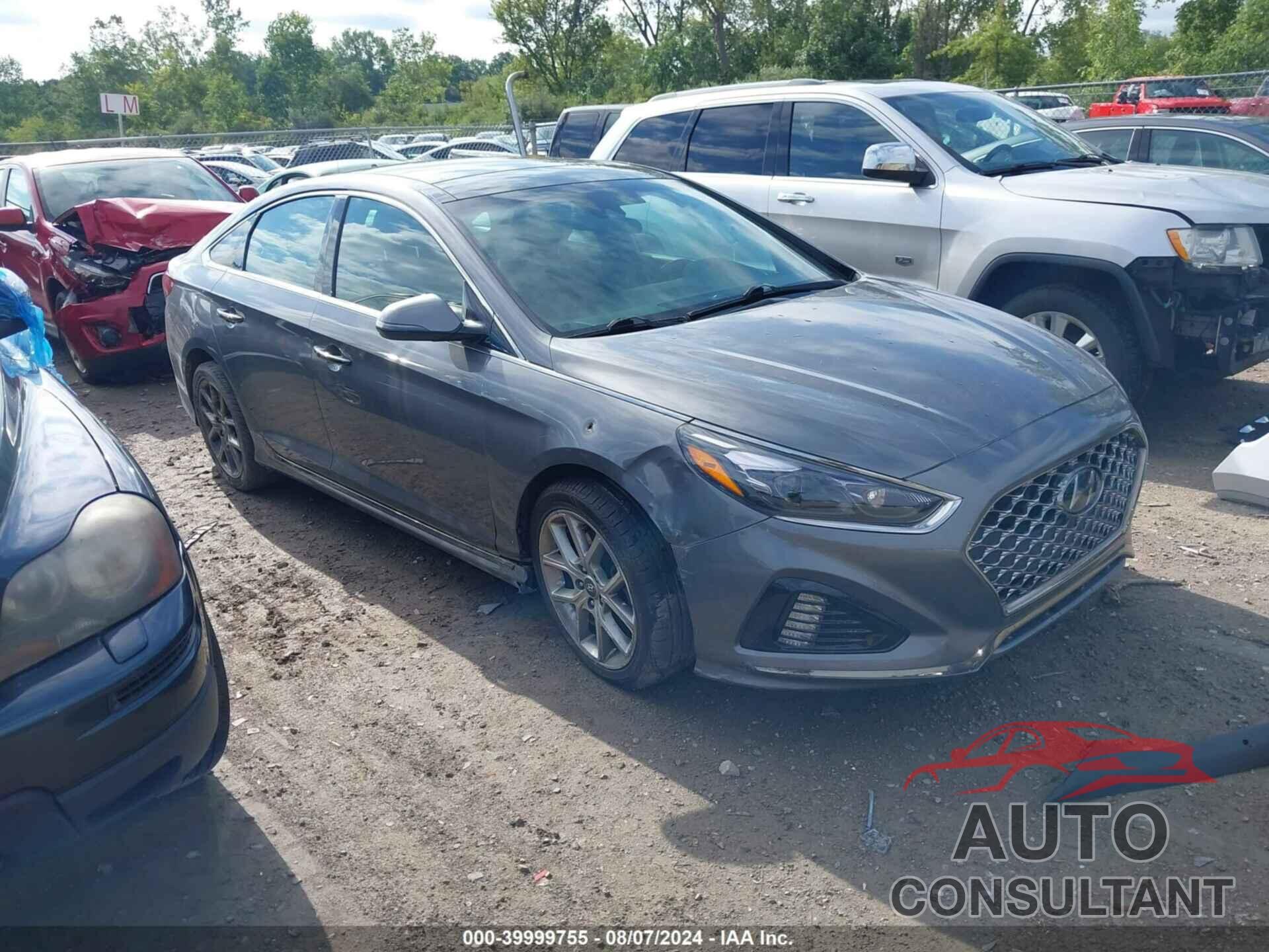 HYUNDAI SONATA 2019 - 5NPE34AB5KH803199