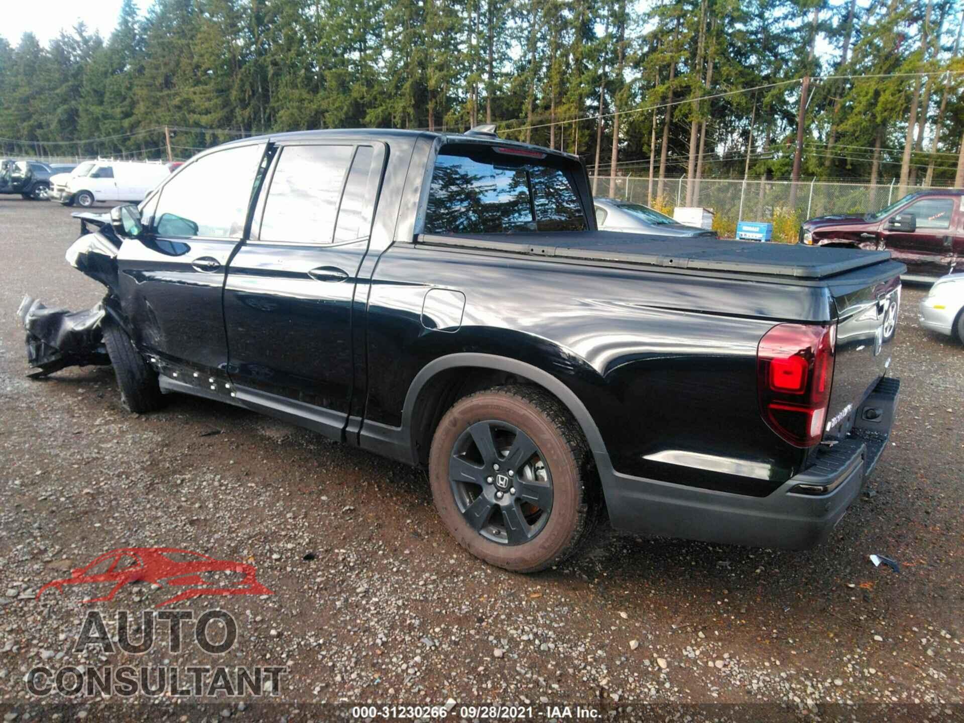 HONDA RIDGELINE 2019 - 5FPYK3F88KB026286