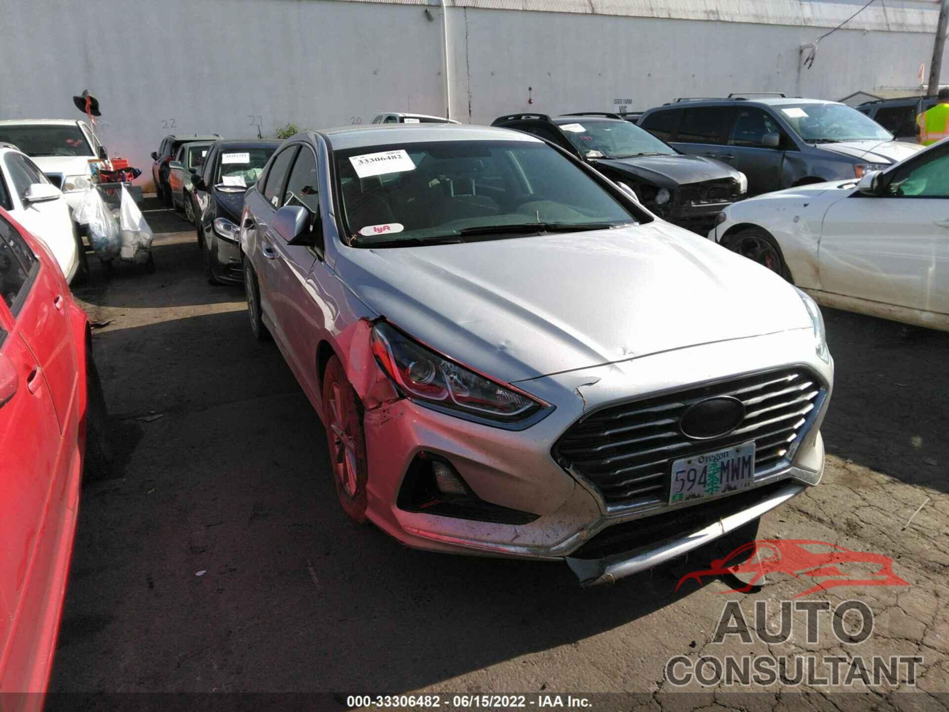 HYUNDAI SONATA 2019 - 5NPE24AF9KH744051