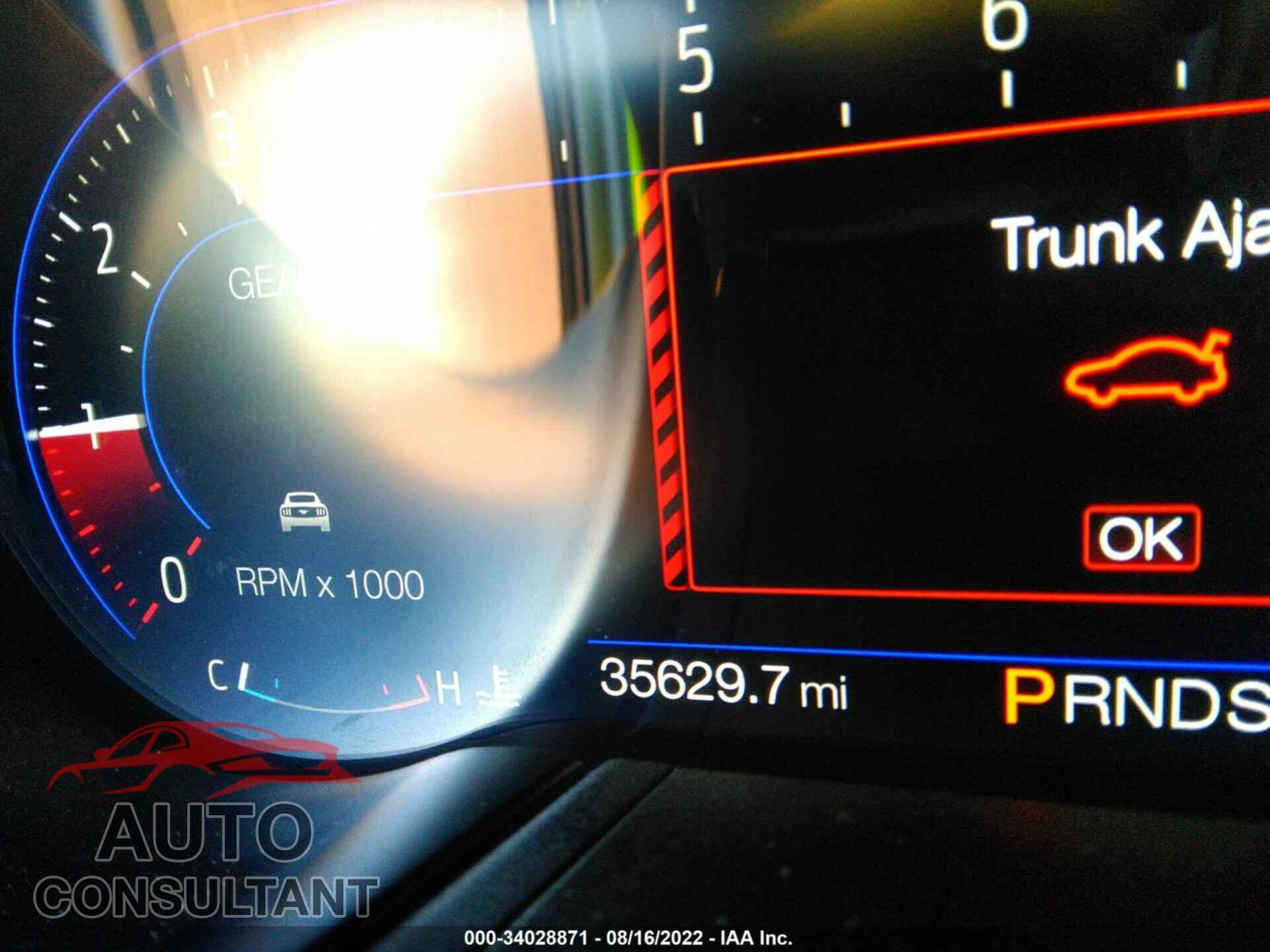 FORD MUSTANG 2019 - 1FA6P8CF0K5174649