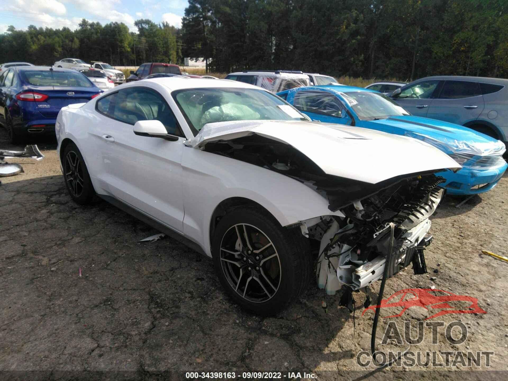 FORD MUSTANG 2019 - 1FA6P8TH3K5162044