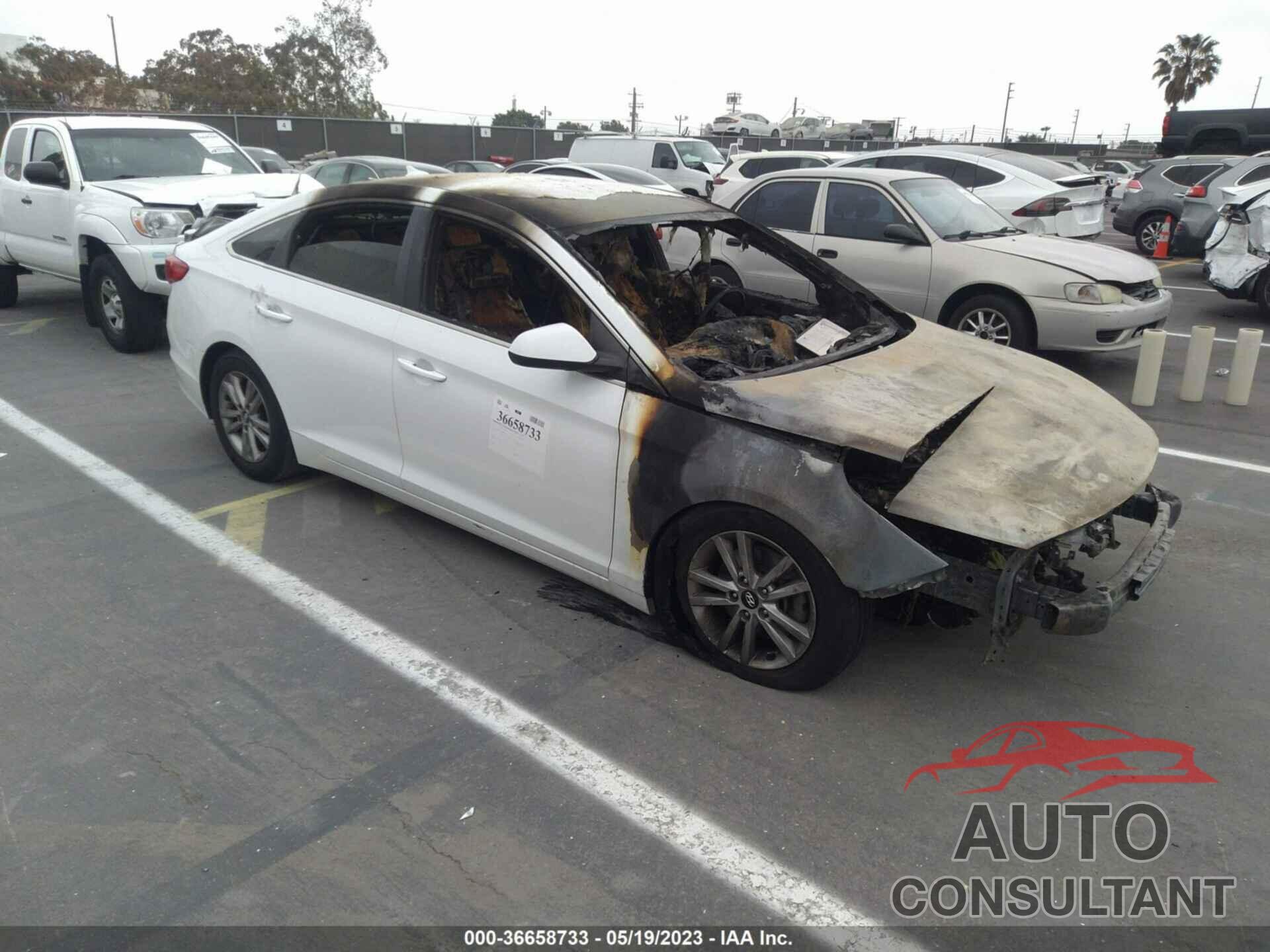 HYUNDAI SONATA 2017 - 5NPE24AF4HH469164