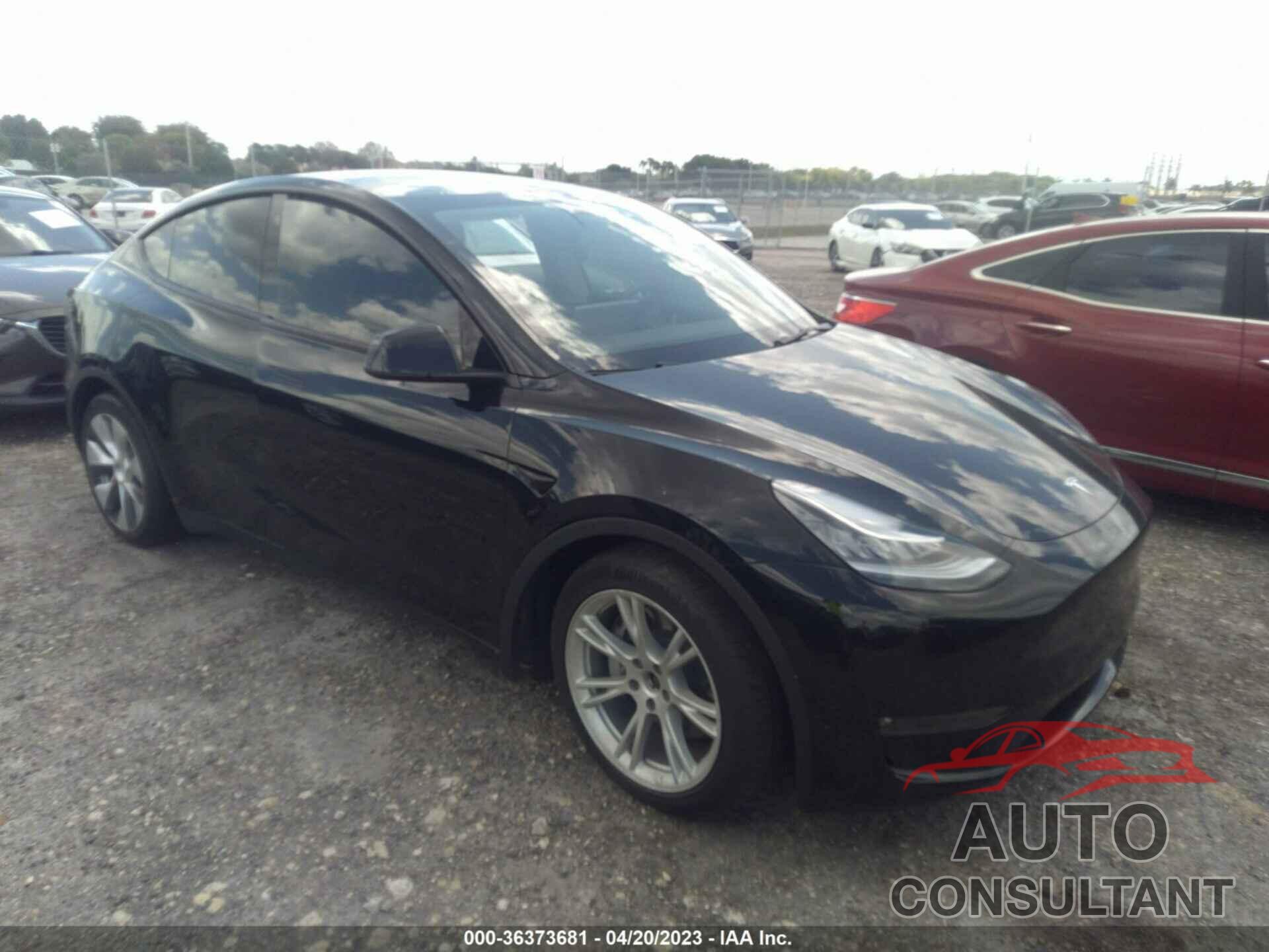 TESLA MODEL Y 2021 - 5YJYGDEE6MF209163