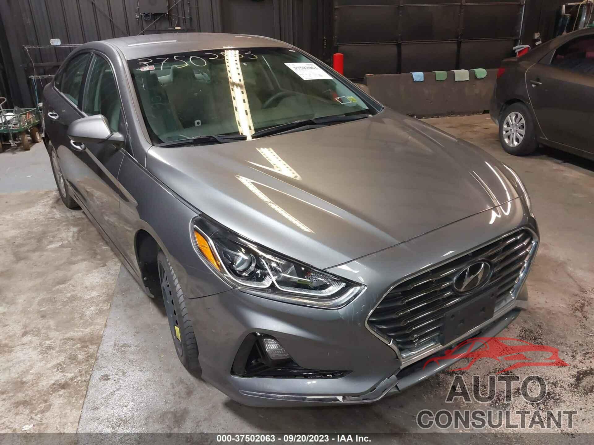 HYUNDAI SONATA 2019 - 5NPE24AF4KH765471