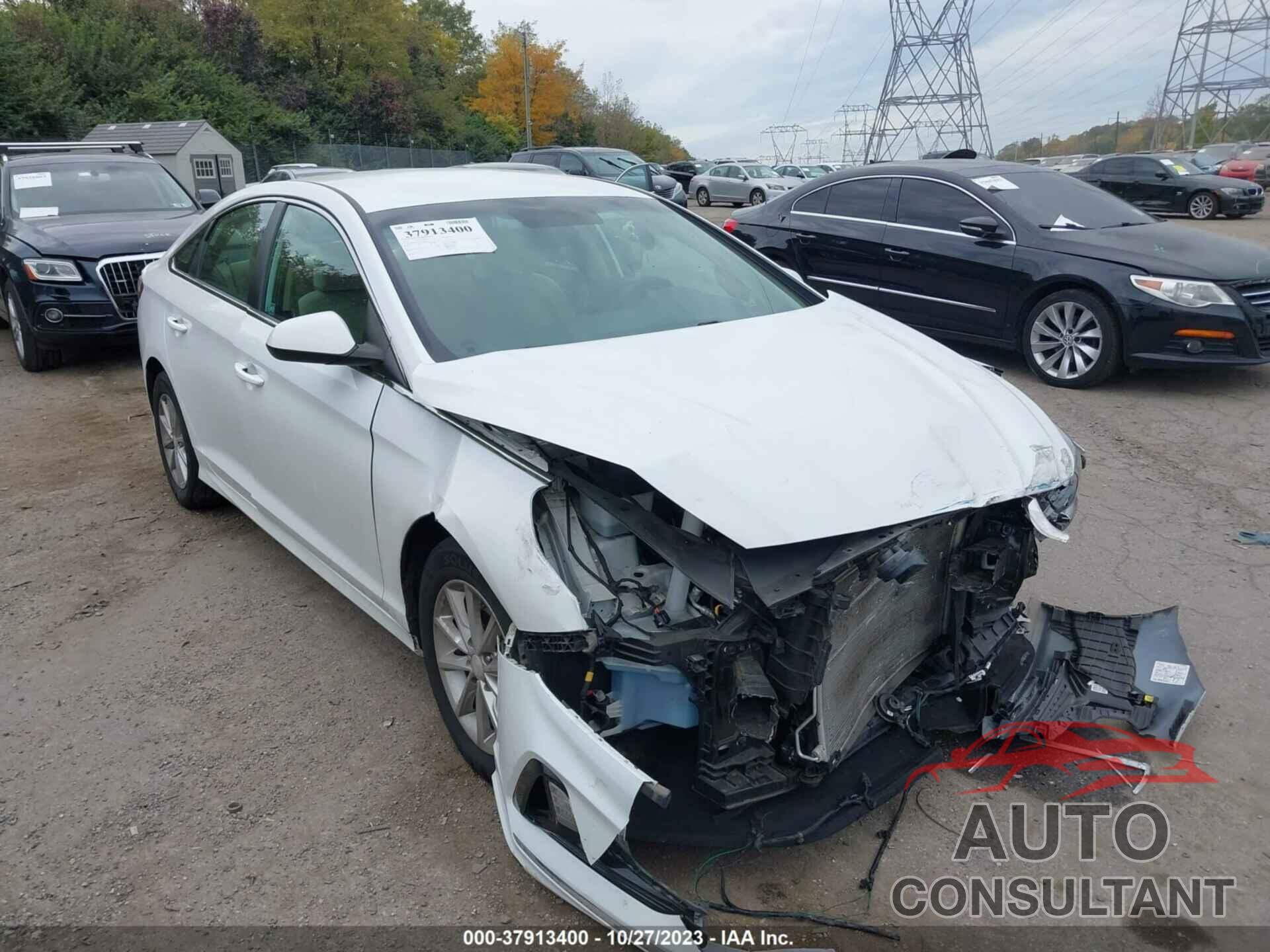 HYUNDAI SONATA 2019 - 5NPE24AF9KH817337