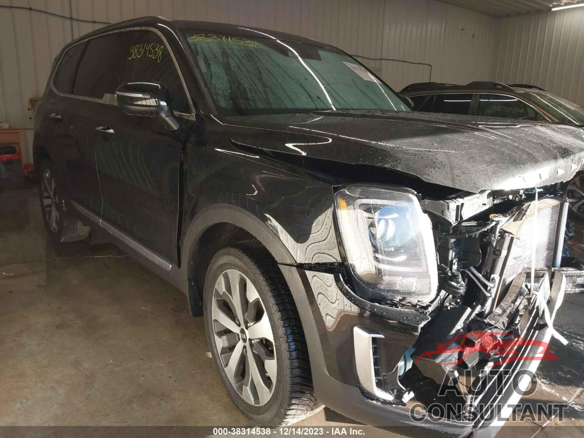 KIA TELLURIDE 2021 - 5XYP64HC7MG142669