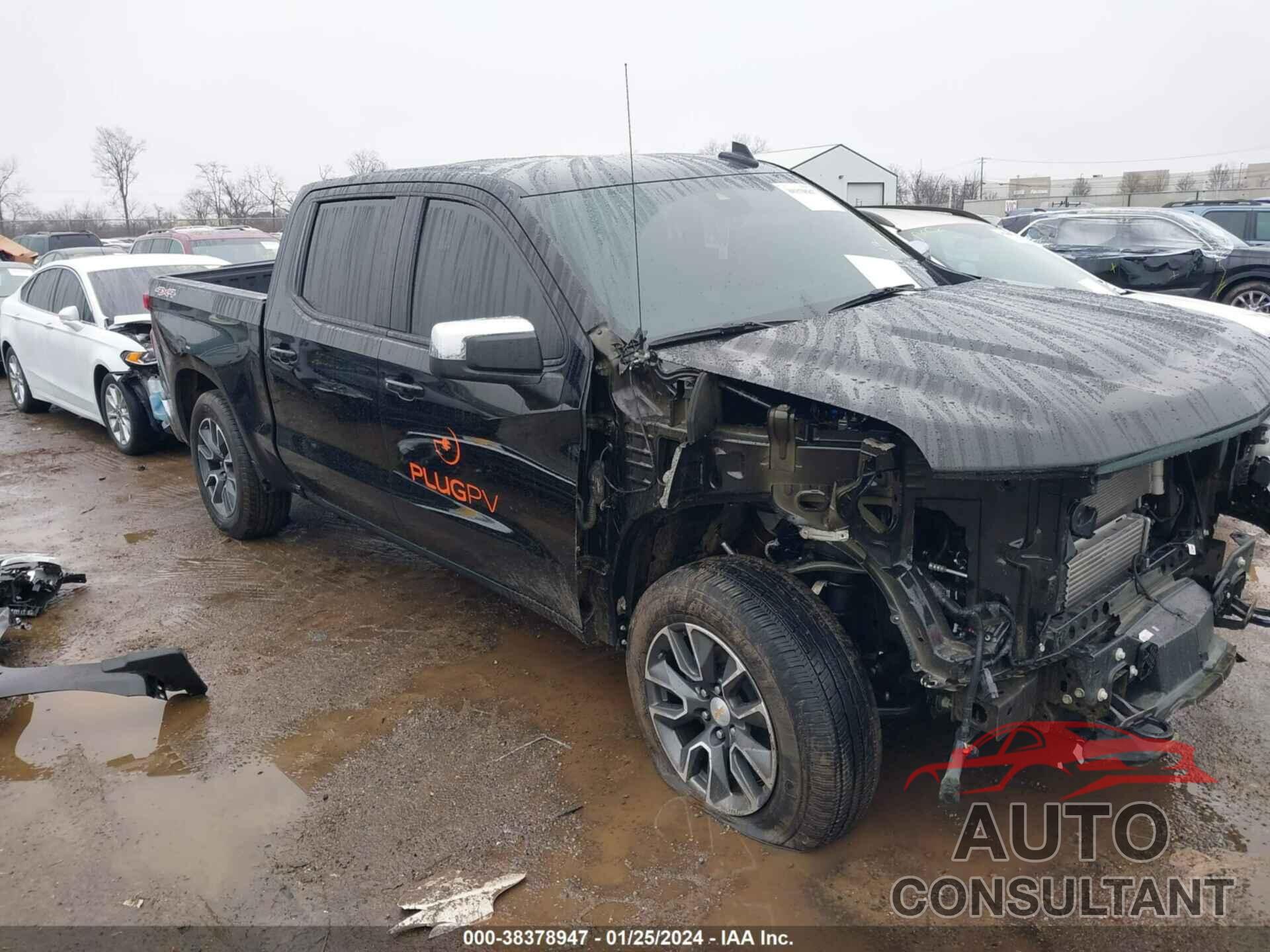 CHEVROLET SILVERADO 1500 2023 - 1GCPDKEK3PZ208016