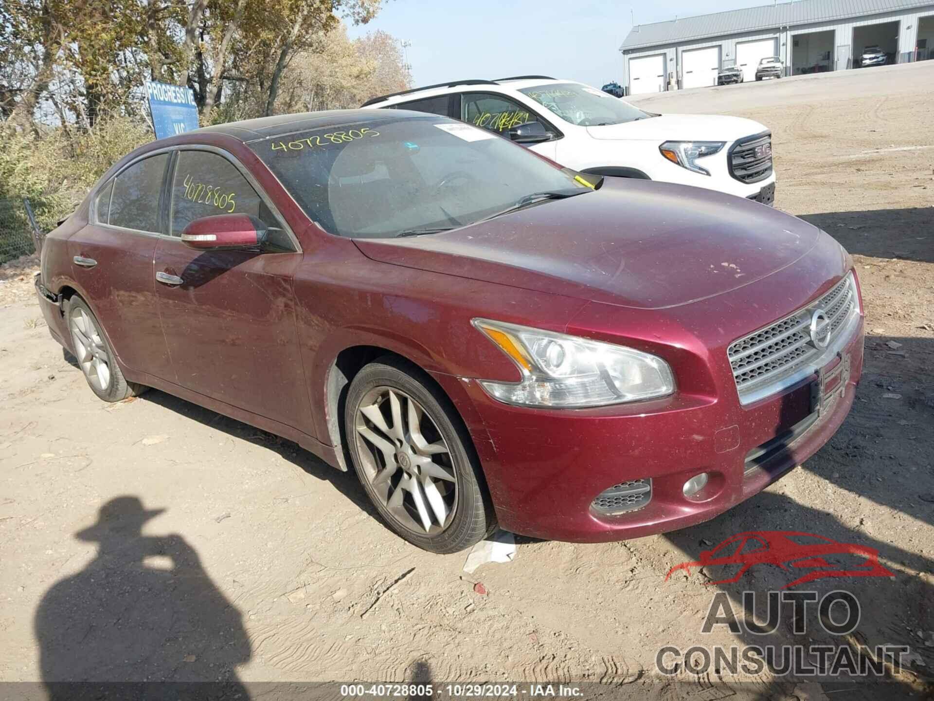 NISSAN MAXIMA 2011 - 1N4AA5AP7BC800358