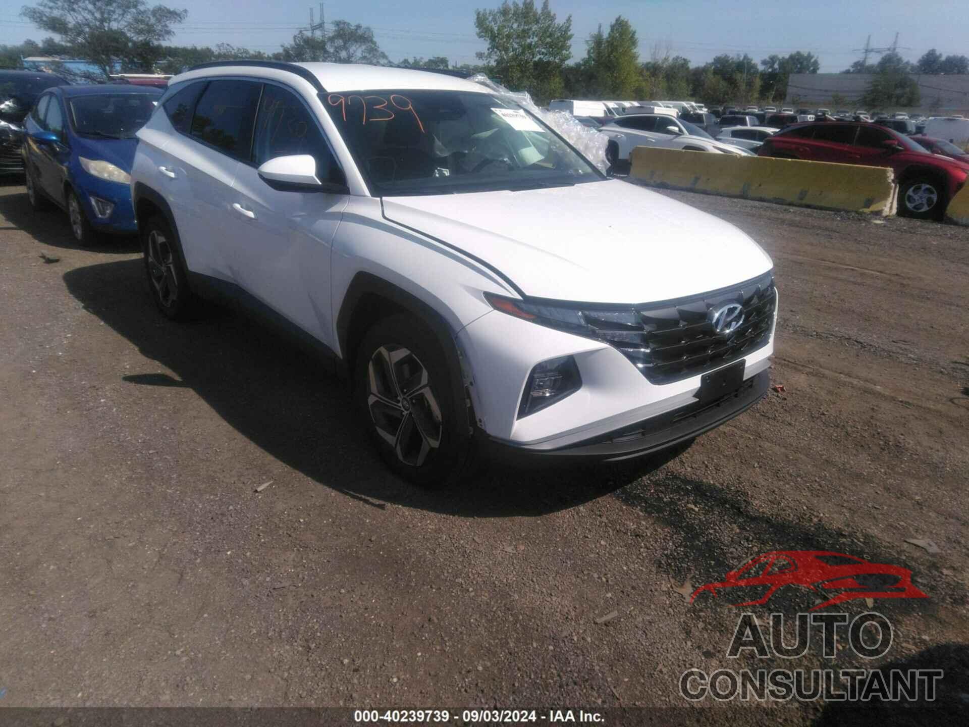 HYUNDAI TUCSON 2024 - 5NMJBCDE9RH427678