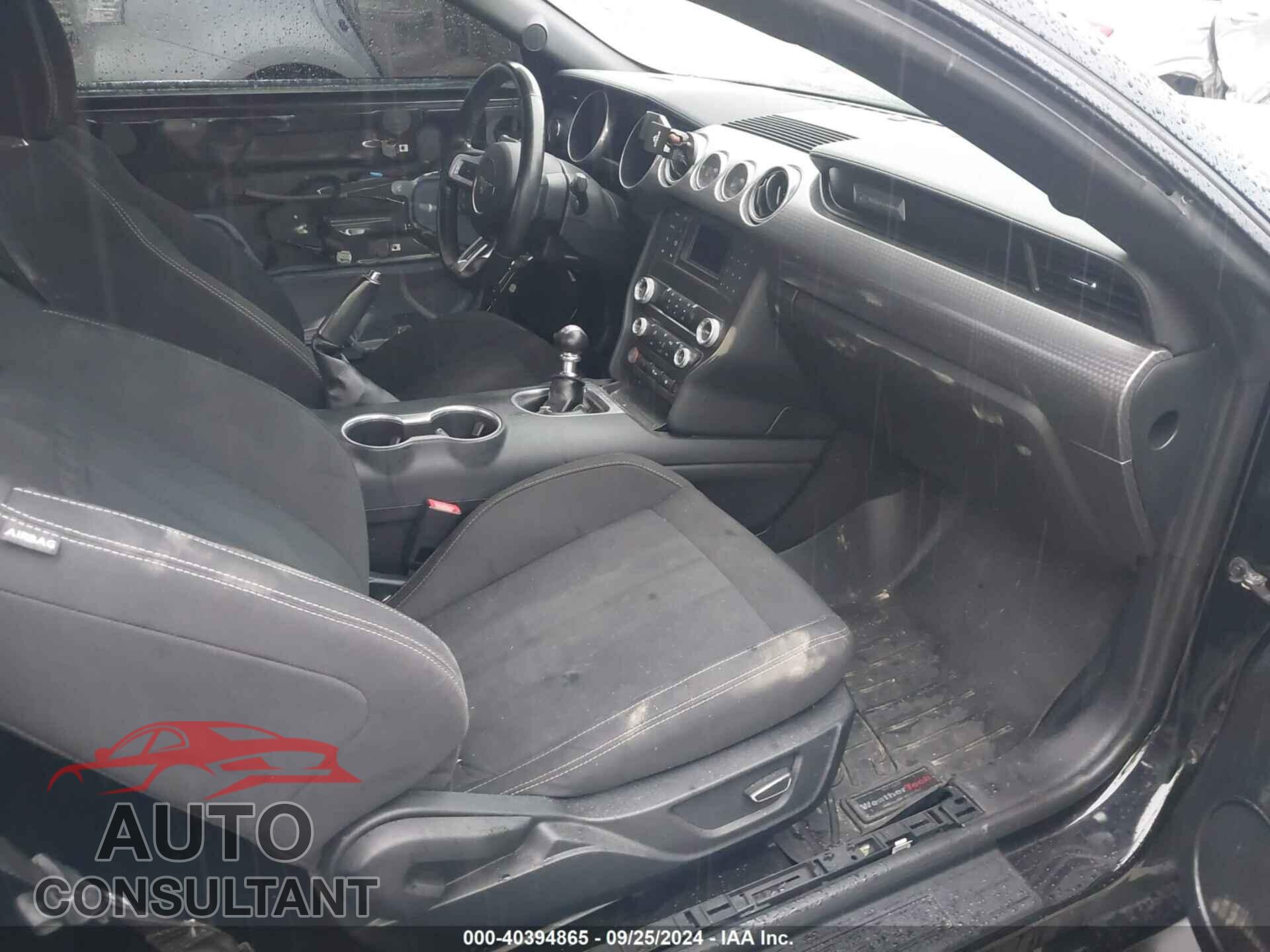 FORD MUSTANG 2019 - 1FA6P8CF4K5102000