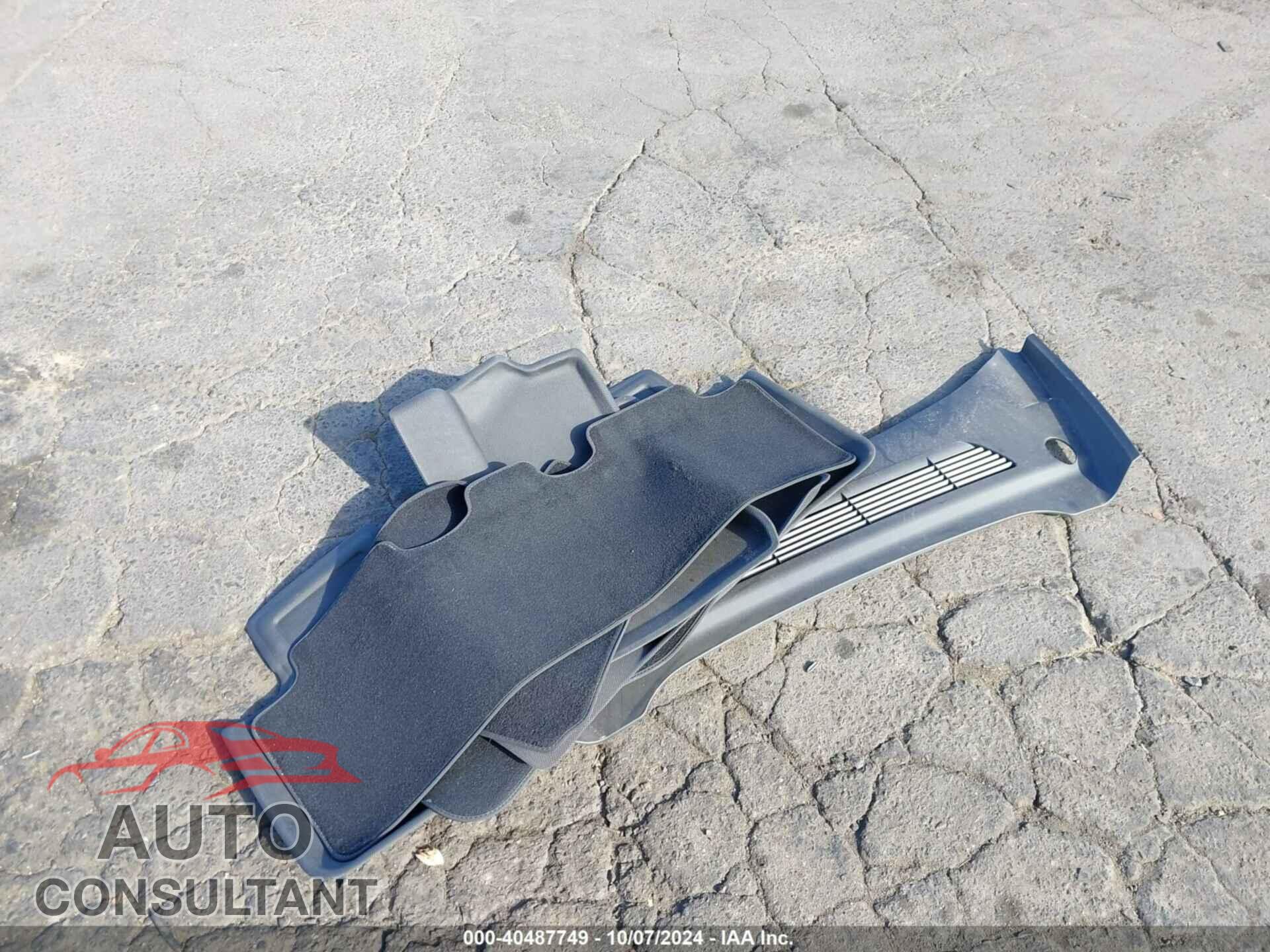 TESLA MODEL Y 2024 - 7SAYGAEE8RF069271