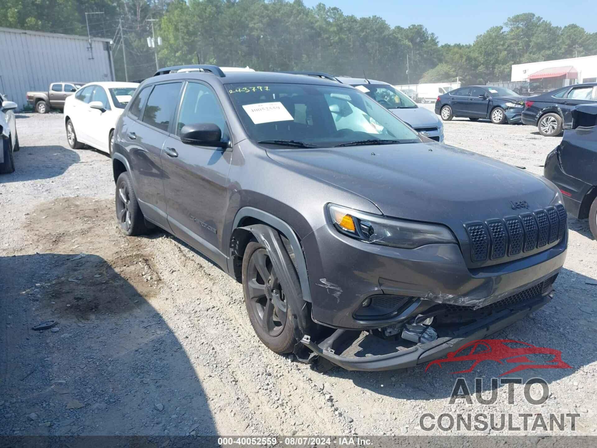 JEEP CHEROKEE 2019 - 1C4PJLLB1KD338917