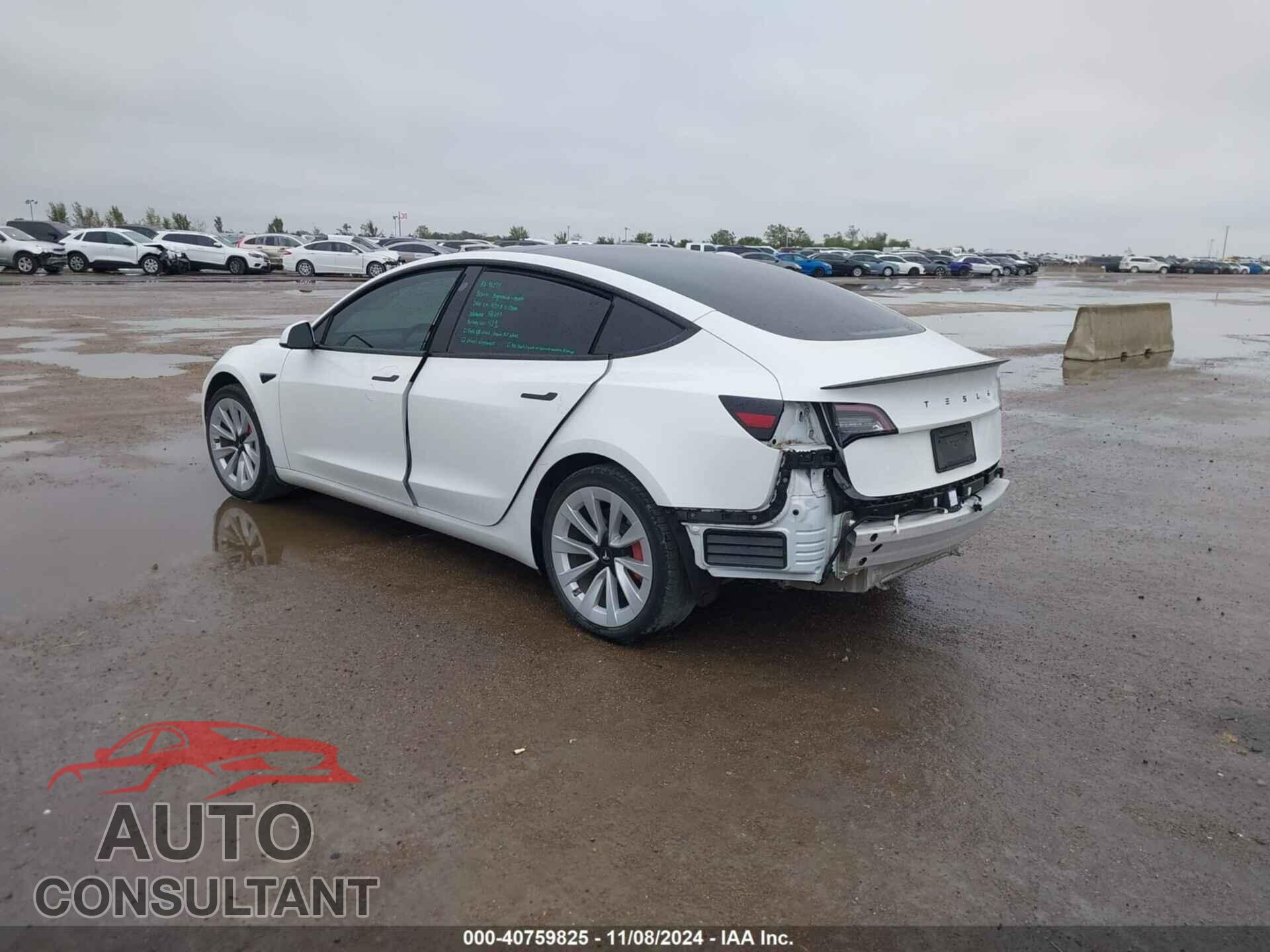 TESLA MODEL 3 2021 - 5YJ3E1EA7MF096643