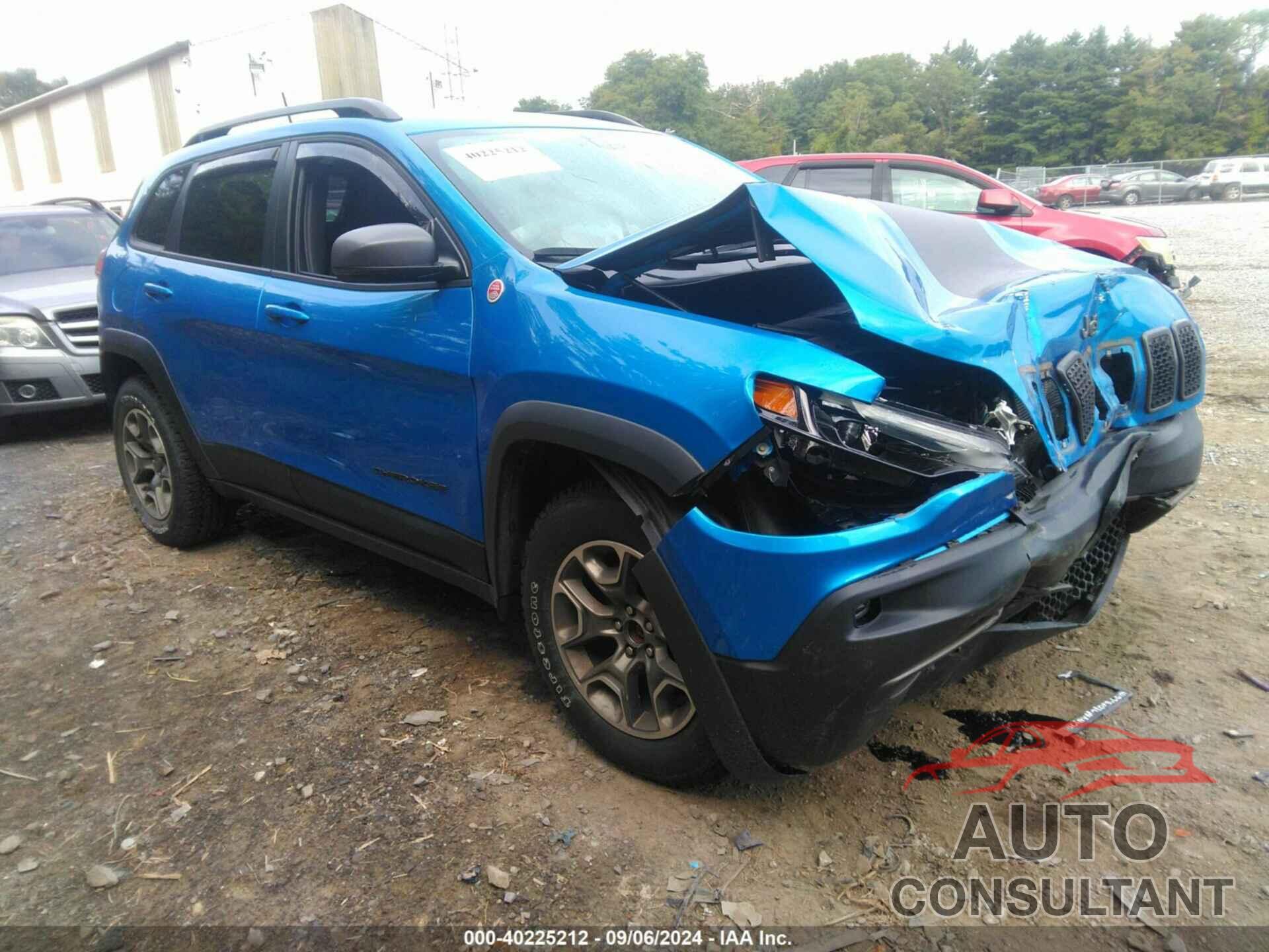 JEEP CHEROKEE 2020 - 1C4PJMBX1LD597363