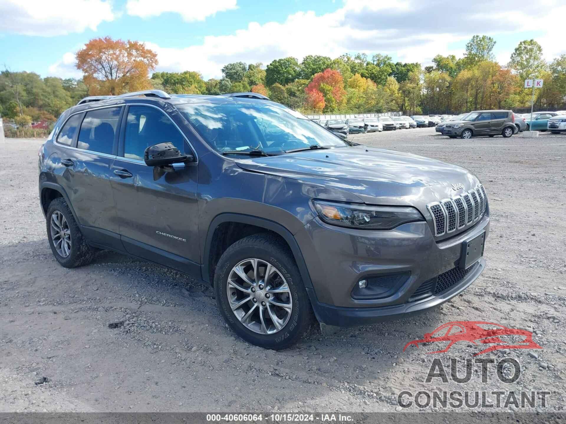 JEEP CHEROKEE 2019 - 1C4PJMLX0KD138810