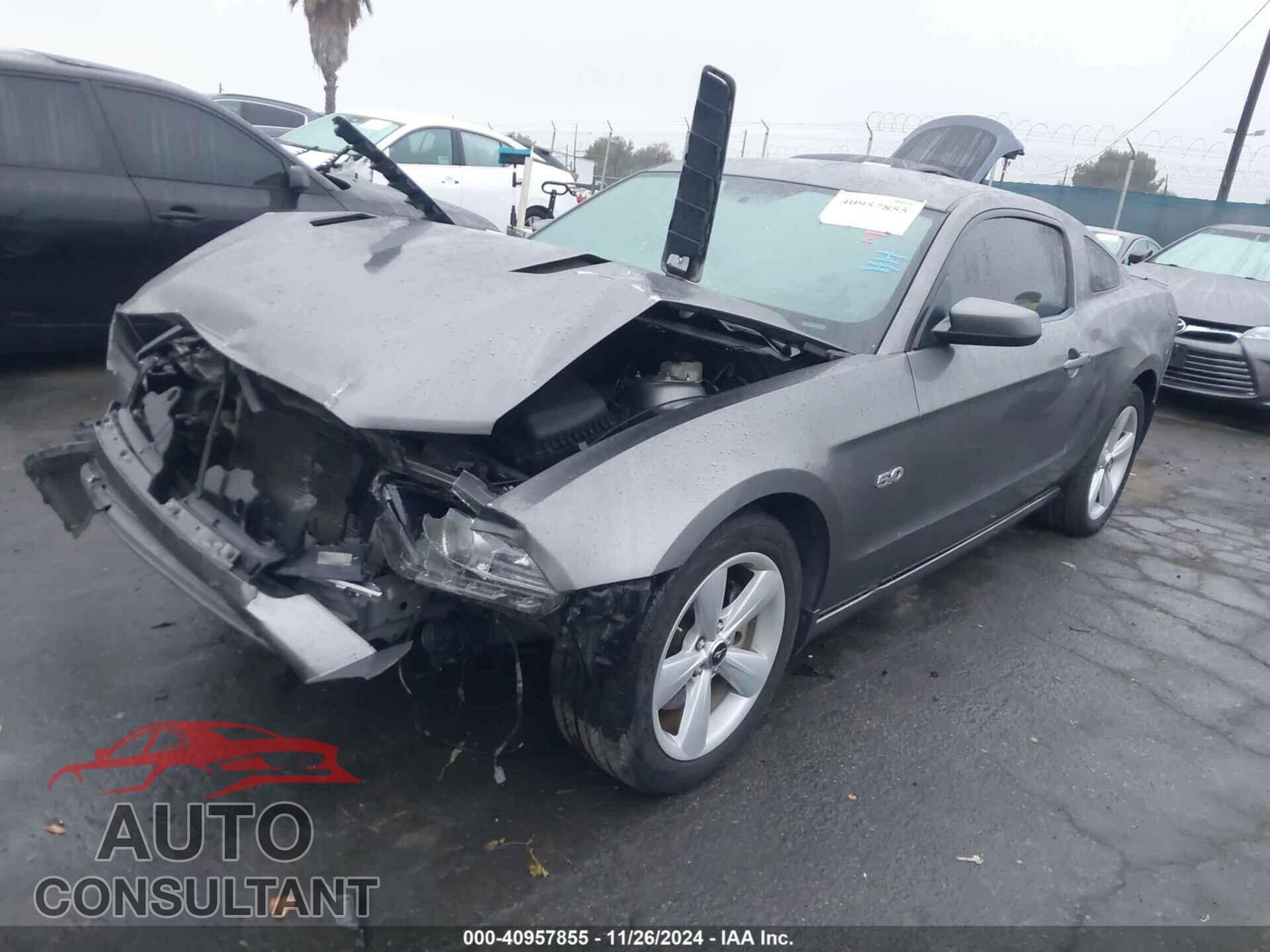 FORD MUSTANG 2014 - 1ZVBP8CF5E5310199