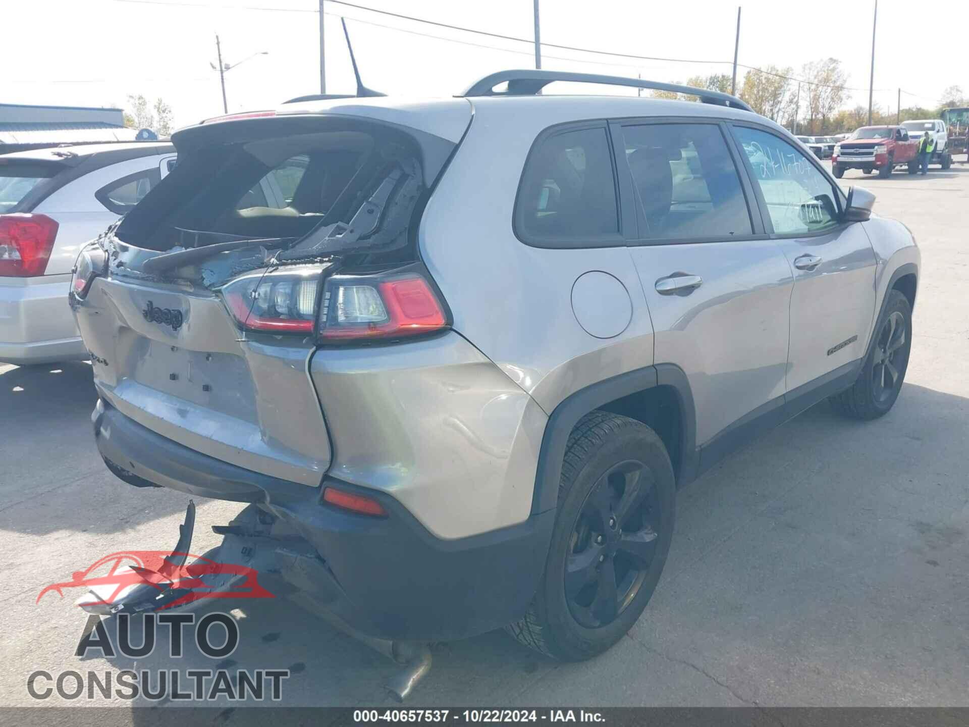 JEEP CHEROKEE 2020 - 1C4PJMLX4LD501885