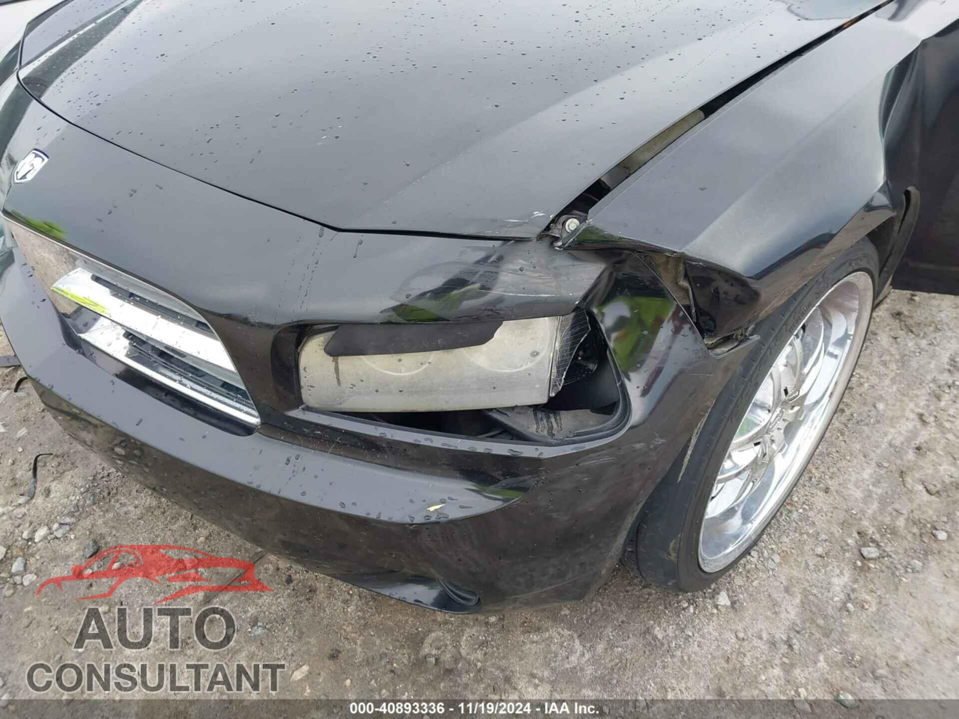 DODGE CHARGER 2010 - 2B3CA4CD3AH281290