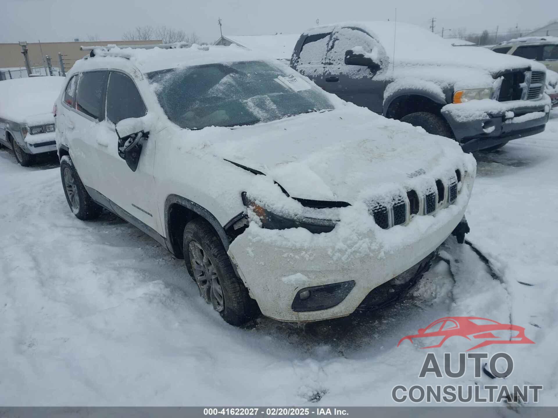 JEEP CHEROKEE 2019 - 1C4PJLLX2KD486604