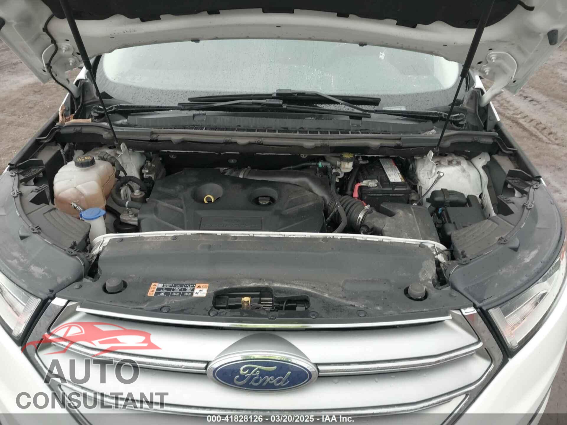 FORD EDGE 2017 - 2FMPK4J95HBB55940