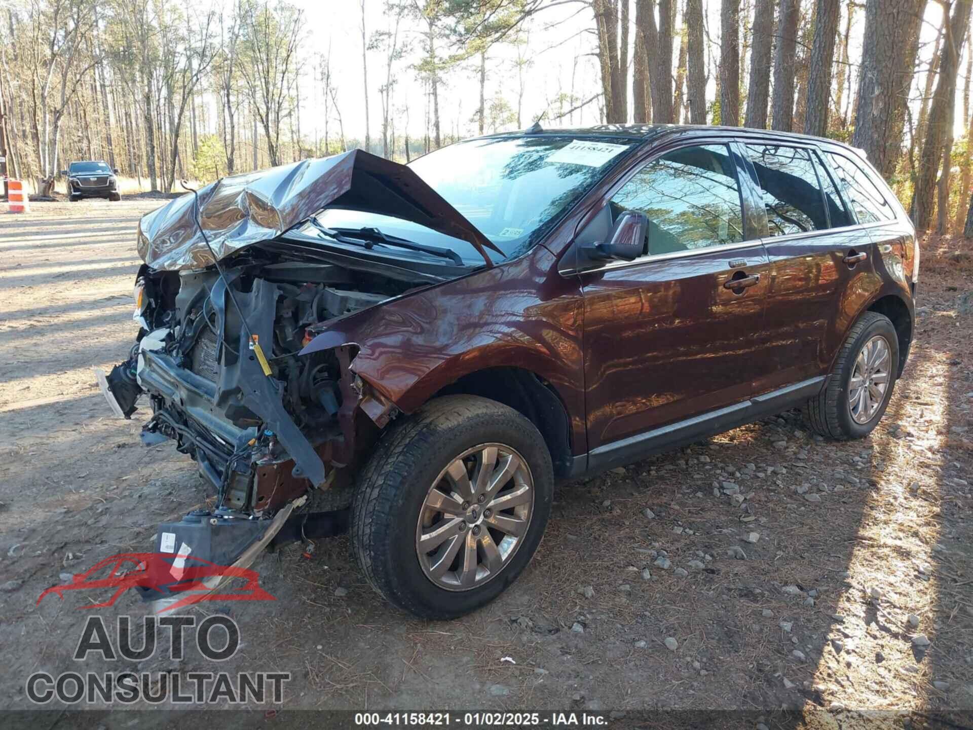 FORD EDGE 2009 - 2FMDK49C59BB04068