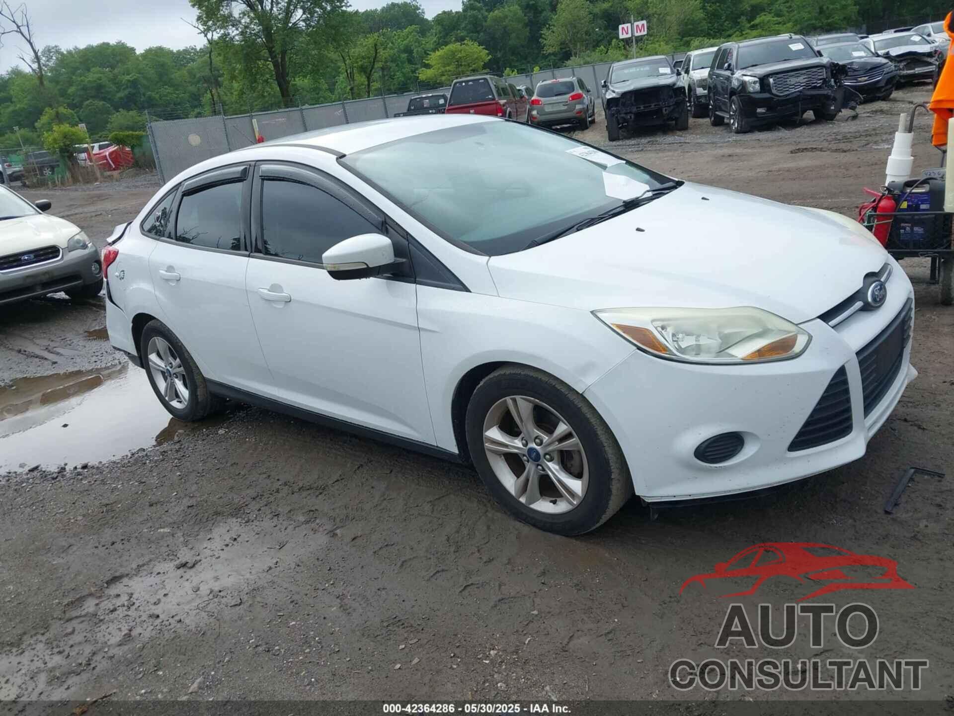 FORD FOCUS 2013 - 1FADP3F29DL372289