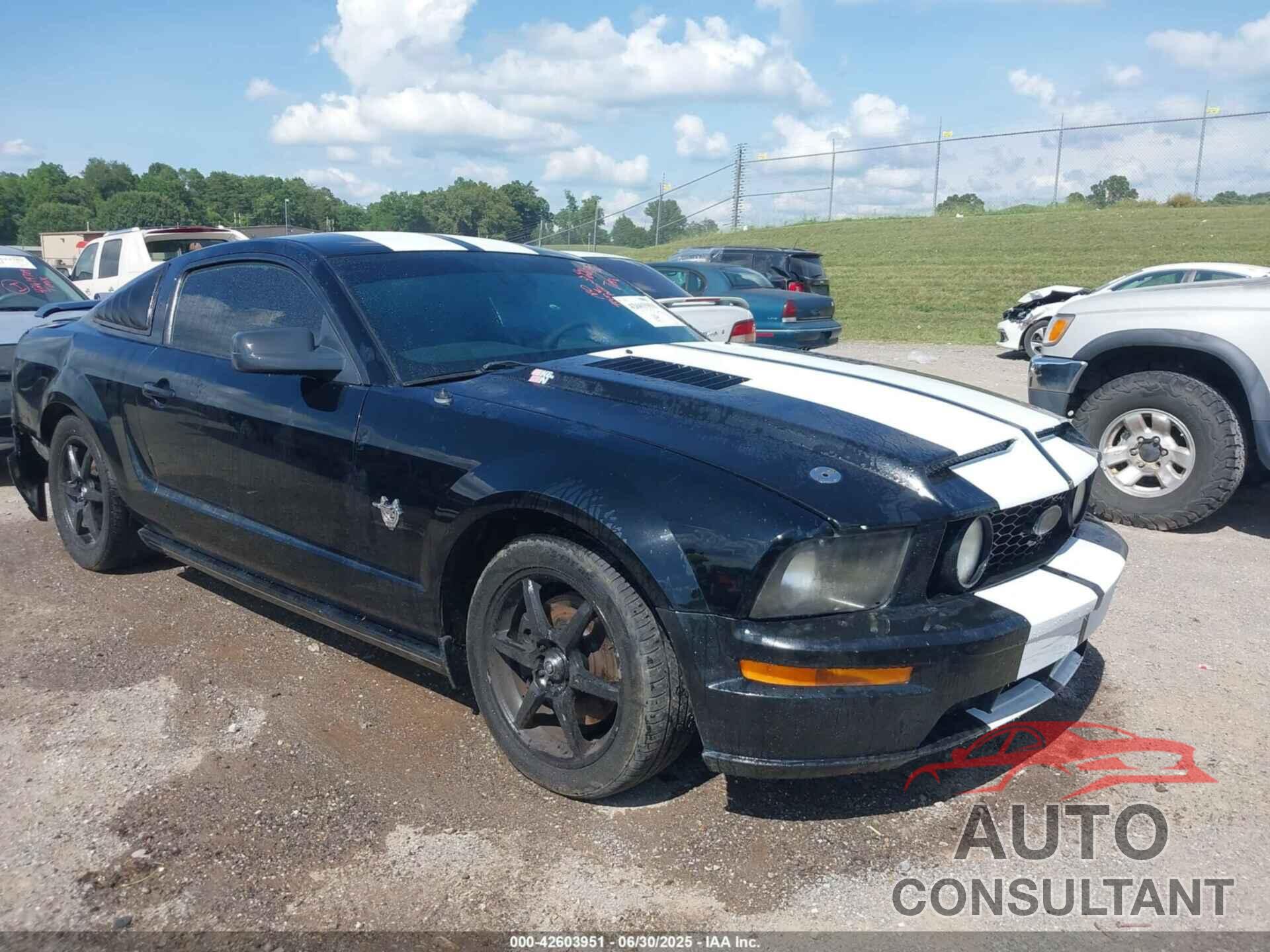 FORD MUSTANG 2009 - 1ZVHT82H495146300