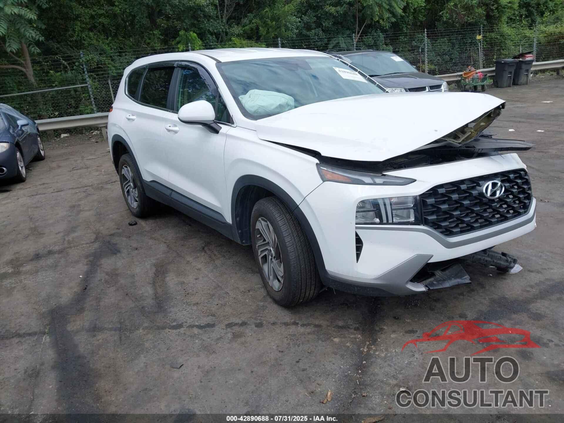 HYUNDAI SANTA FE 2023 - 5NMS1DAJ6PH619023