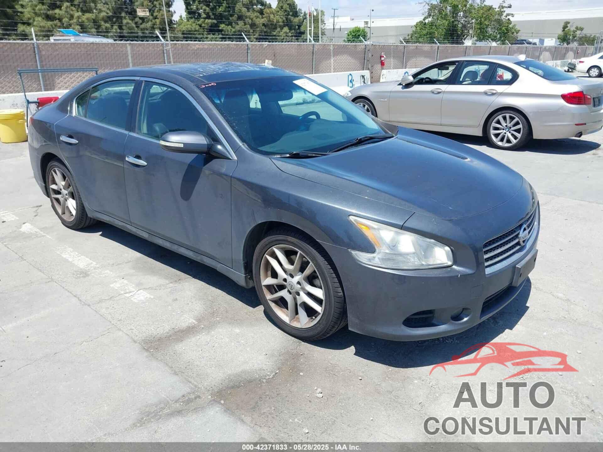 NISSAN MAXIMA 2009 - 1N4AA51E09C847739