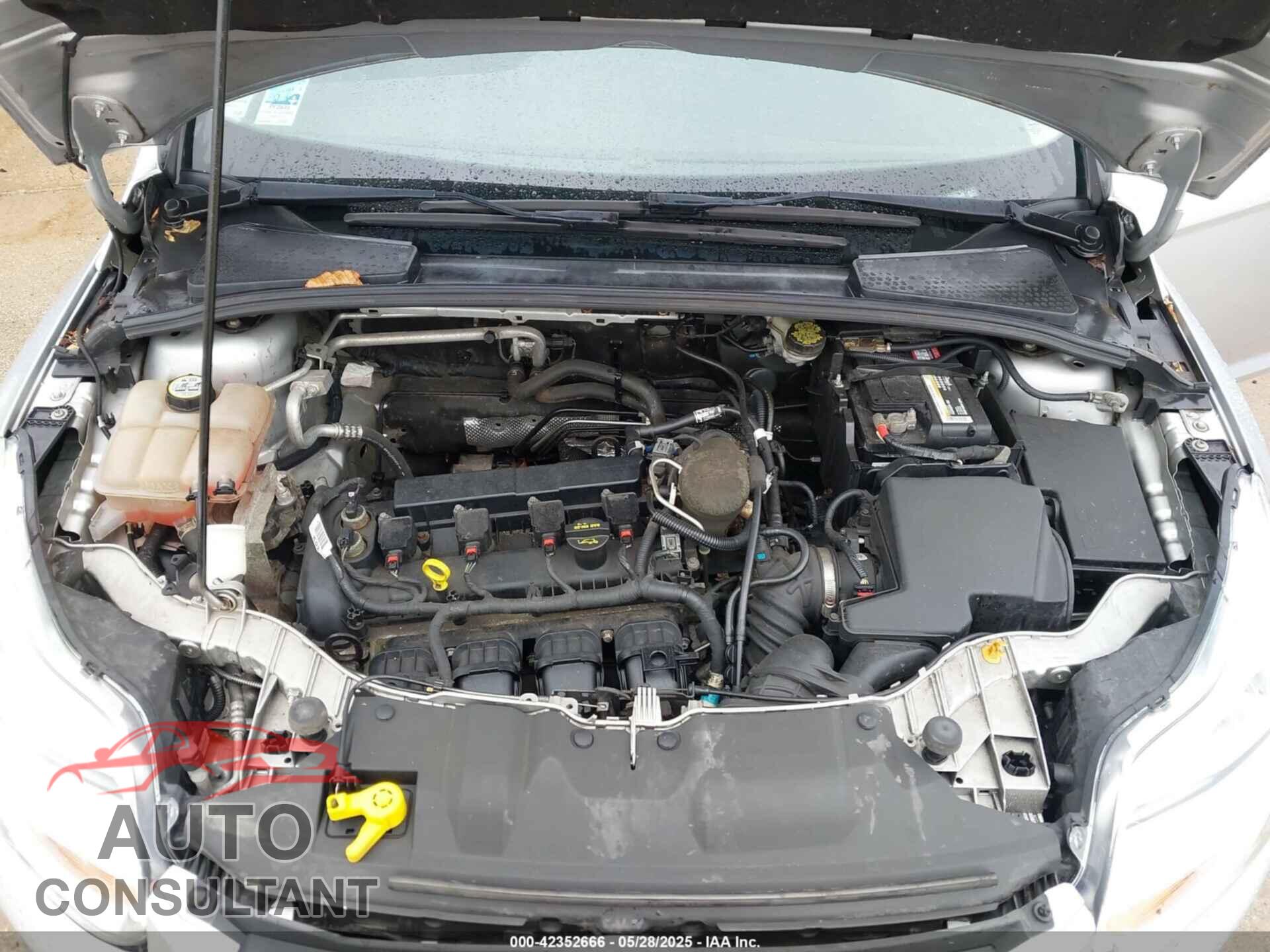 FORD FOCUS 2013 - 1FADP3F27DL332048