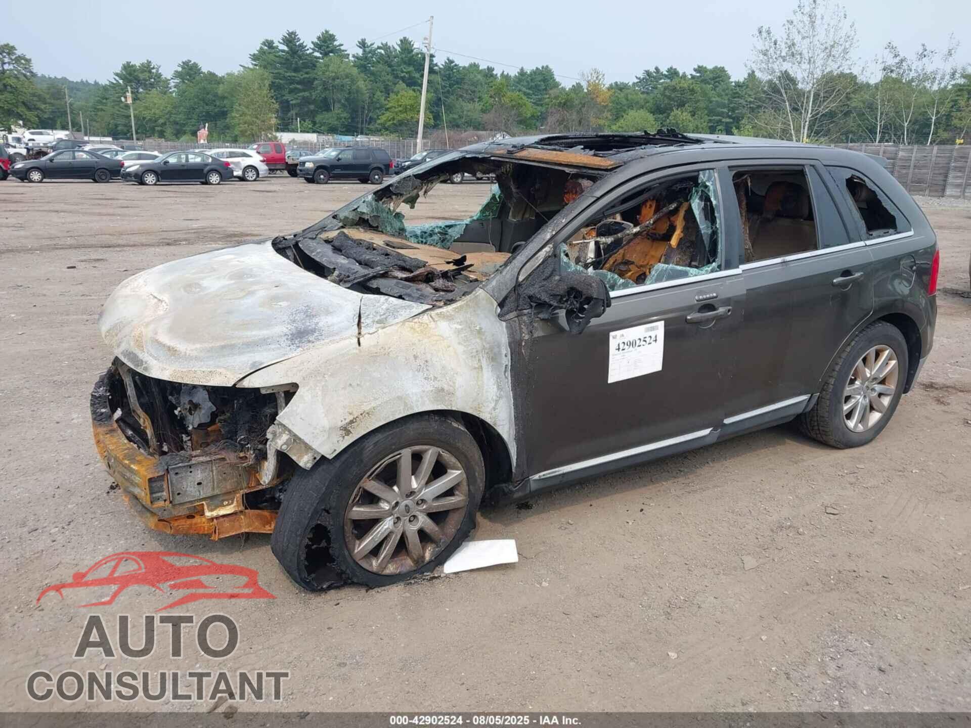 FORD EDGE 2011 - 2FMDK3KC9BBB41361