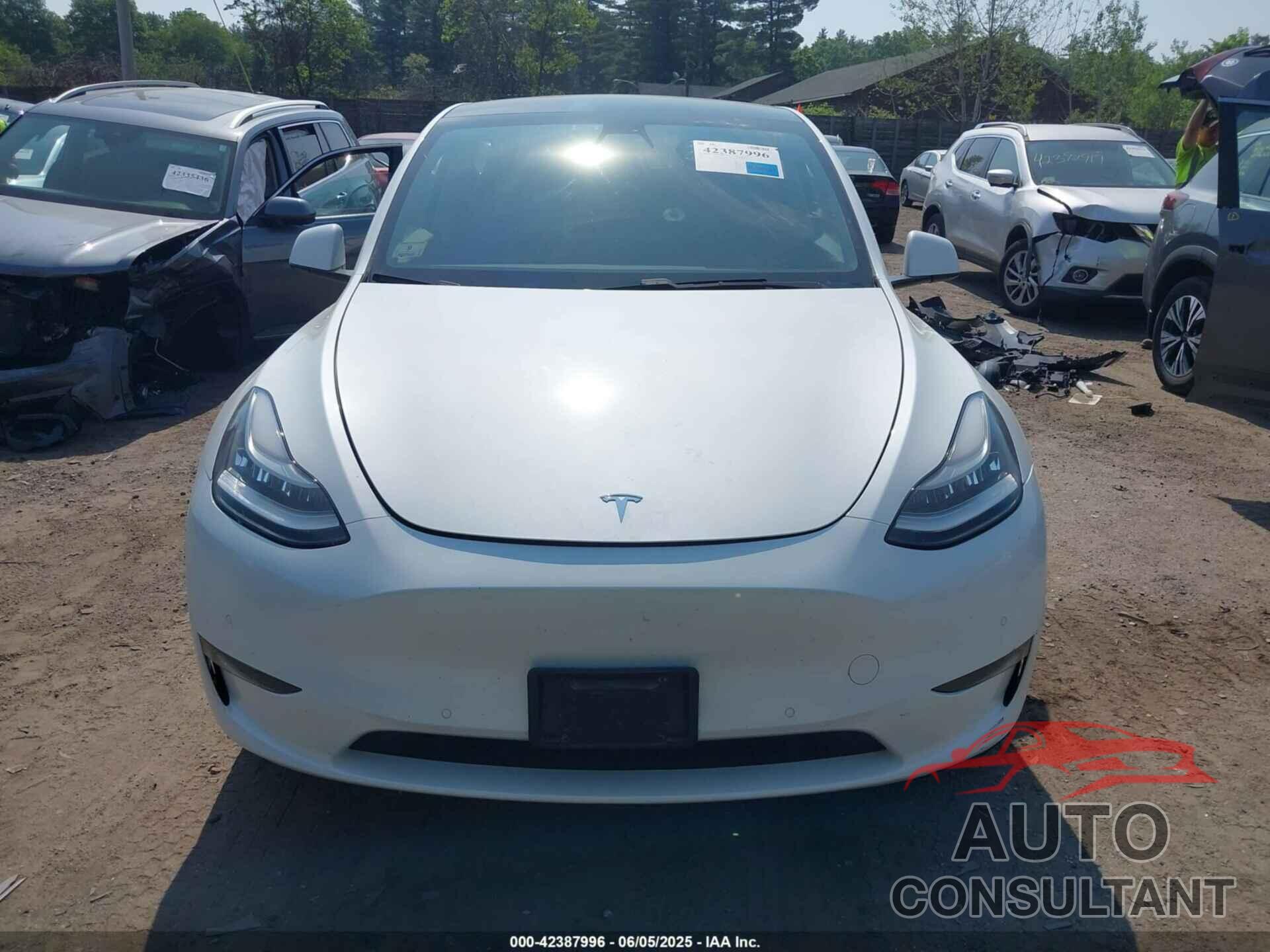 TESLA MODEL Y 2020 - 5YJYGDEEXLF028453