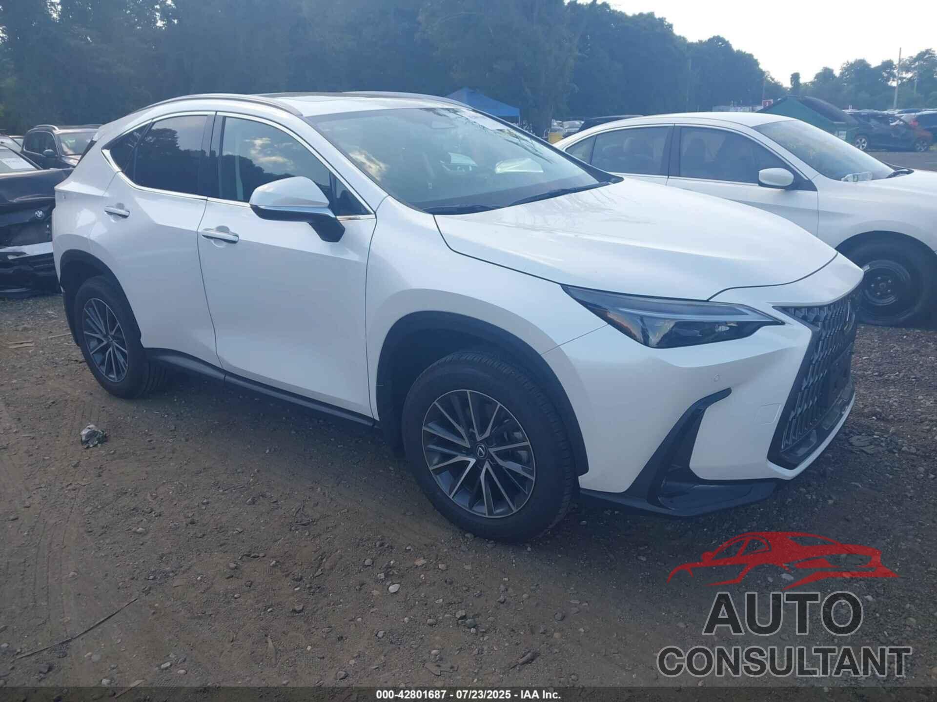 LEXUS NX 350 2025 - 2T2AGCEZ2SC070841