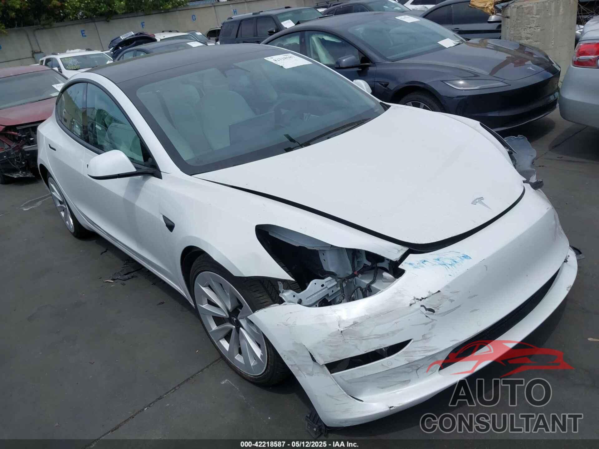 TESLA MODEL 3 2021 - 5YJ3E1EA4MF874784