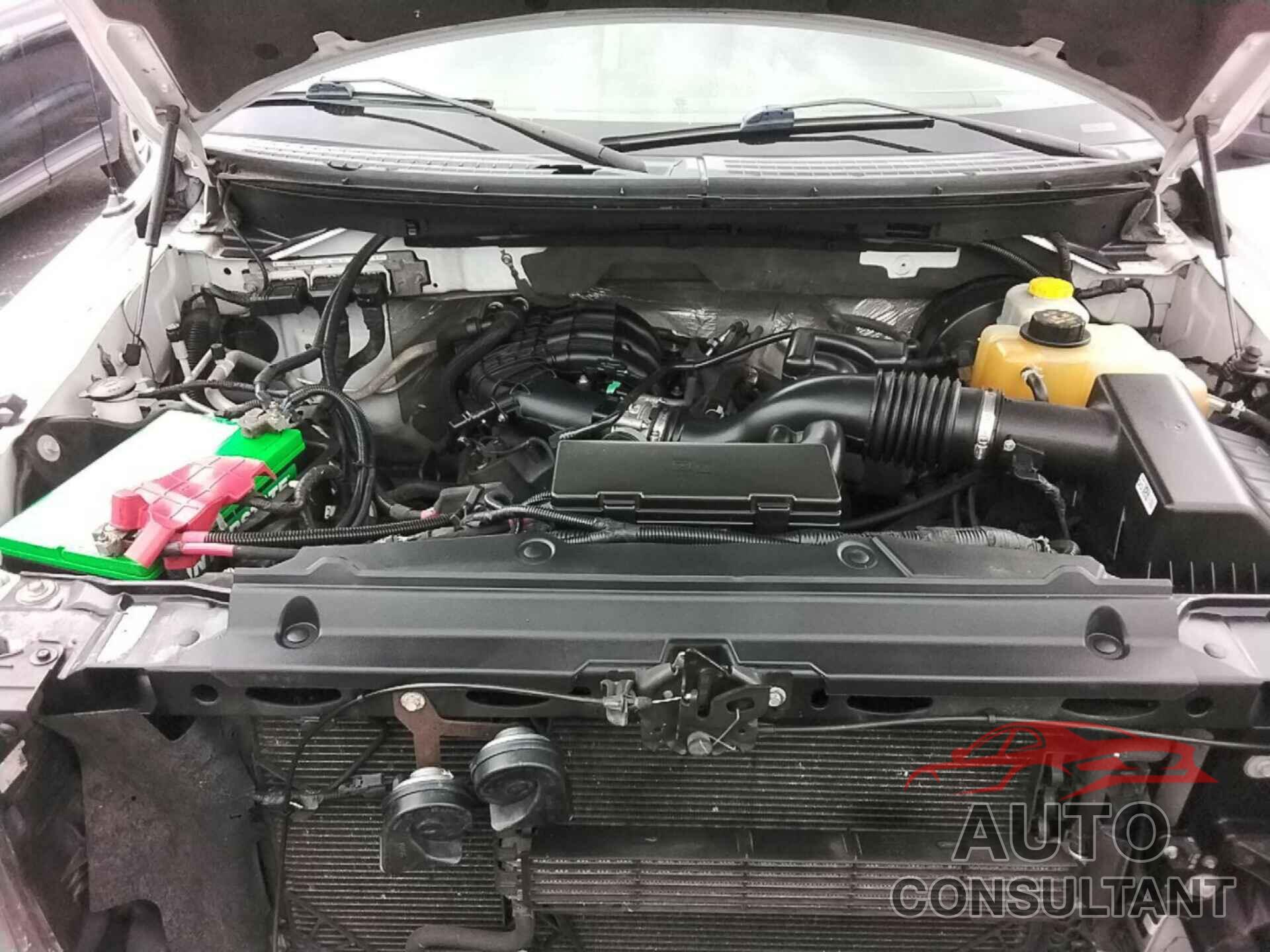 FORD F150 2014 - 1FTMF1CM0EKG22808