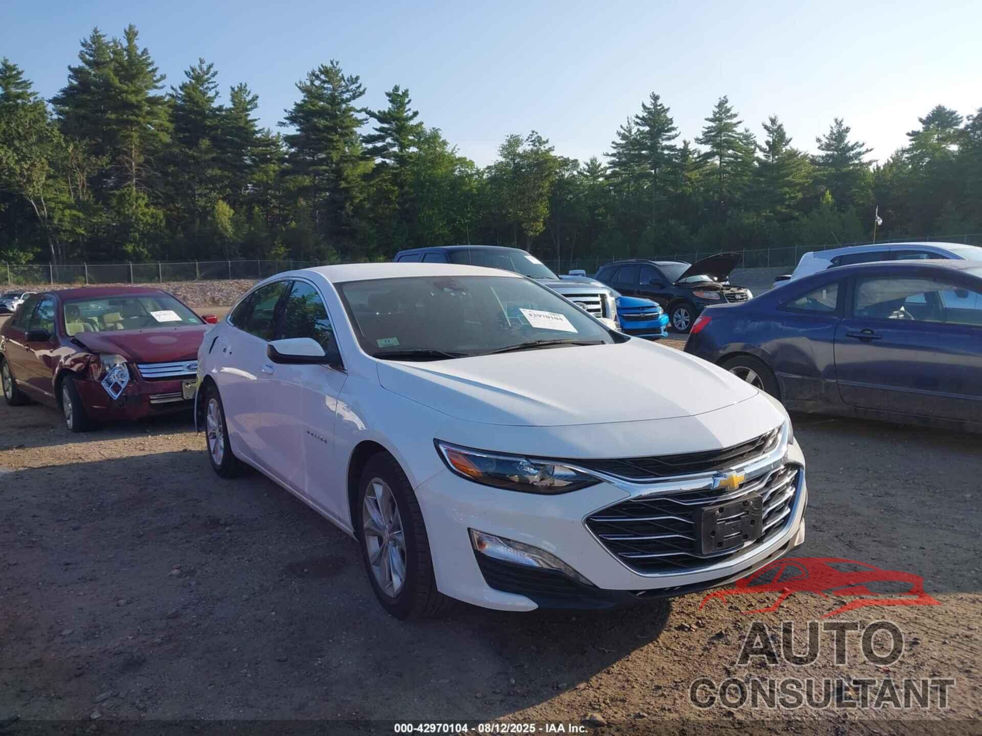 CHEVROLET MALIBU 2023 - 1G1ZD5ST8PF234564