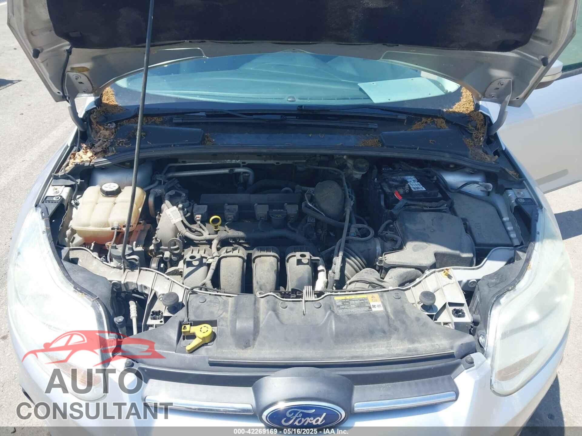 FORD FOCUS 2013 - 1FADP3F21DL150930