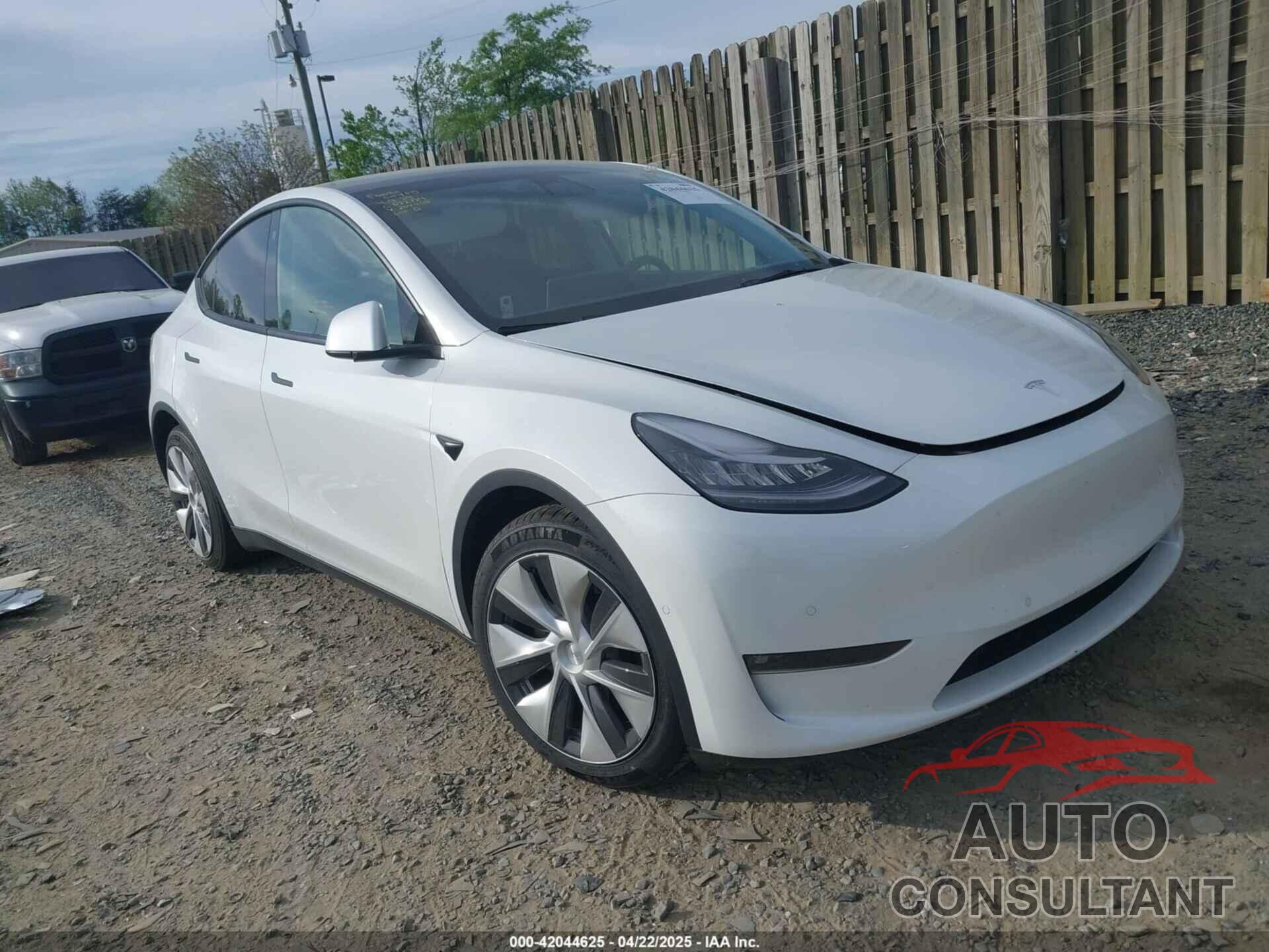 TESLA MODEL Y 2021 - 5YJYGDEE5MF204908