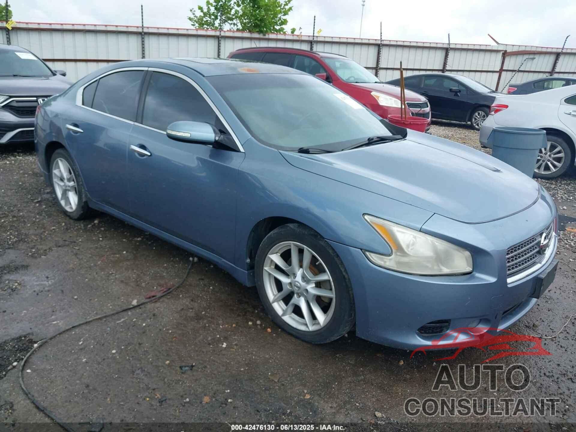 NISSAN MAXIMA 2010 - 1N4AA5AP7AC809334