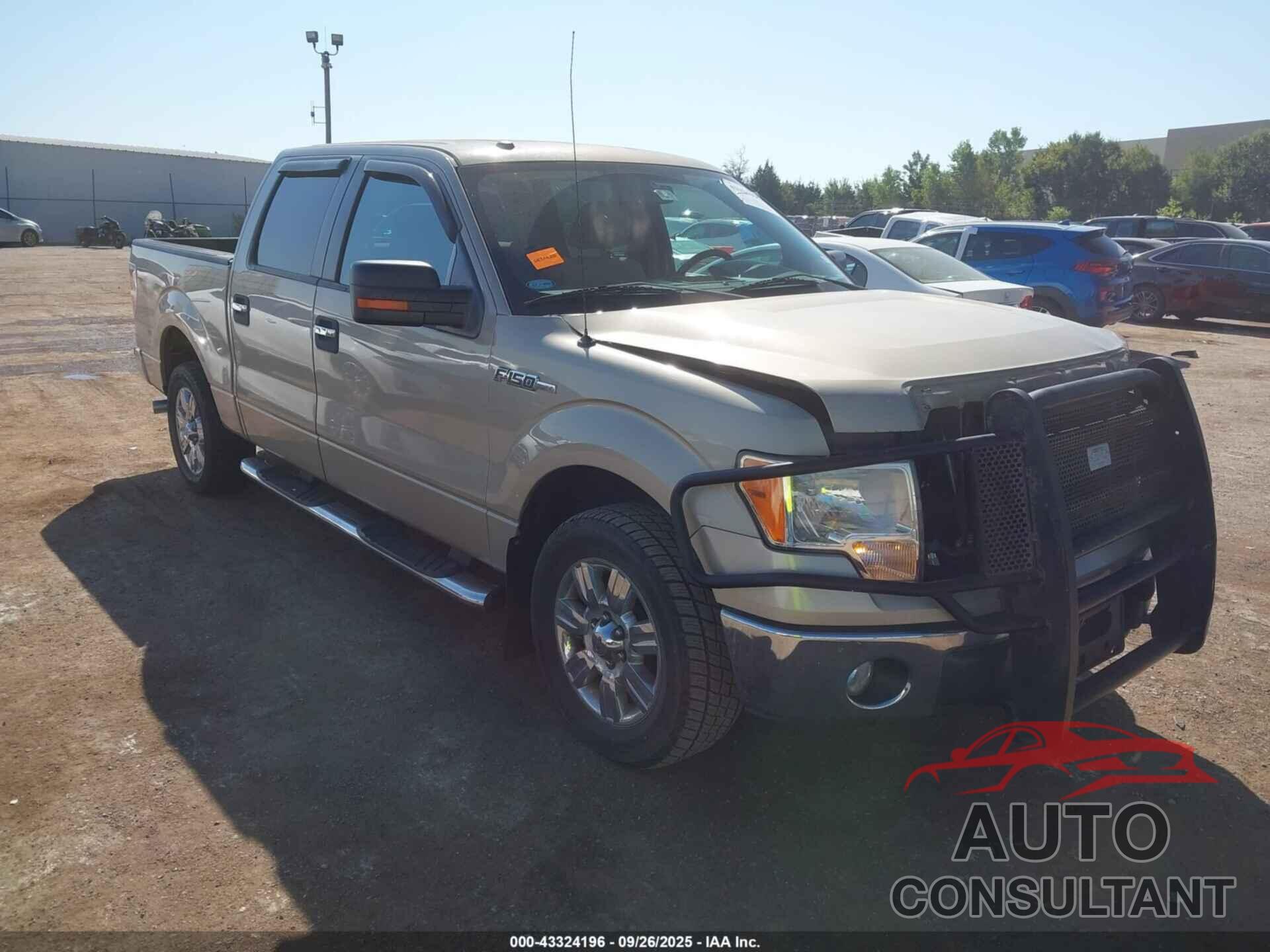 FORD F-150 2010 - 1FTEW1C83AKA76801