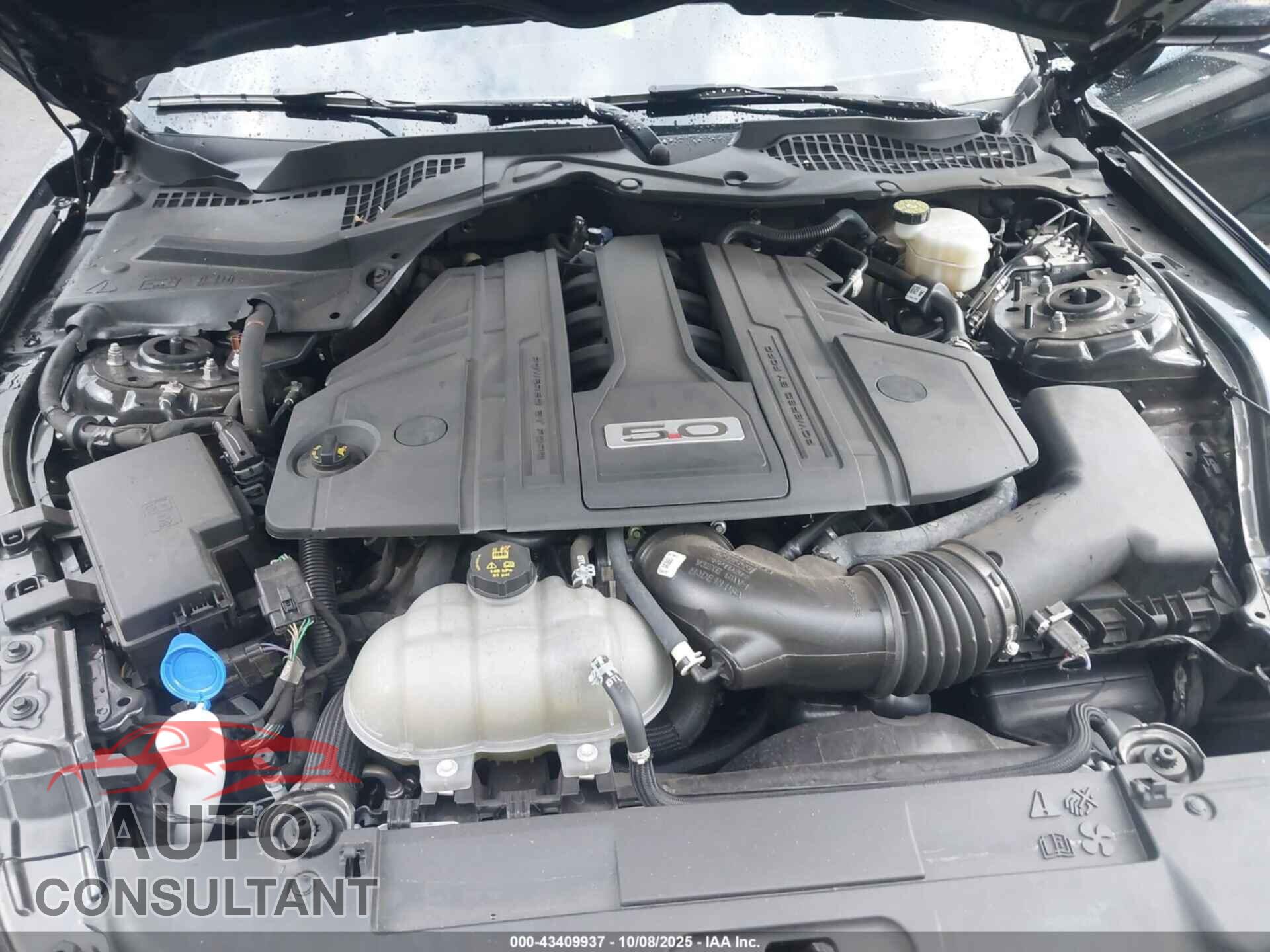 FORD MUSTANG 2022 - 1FA6P8CF7N5139742