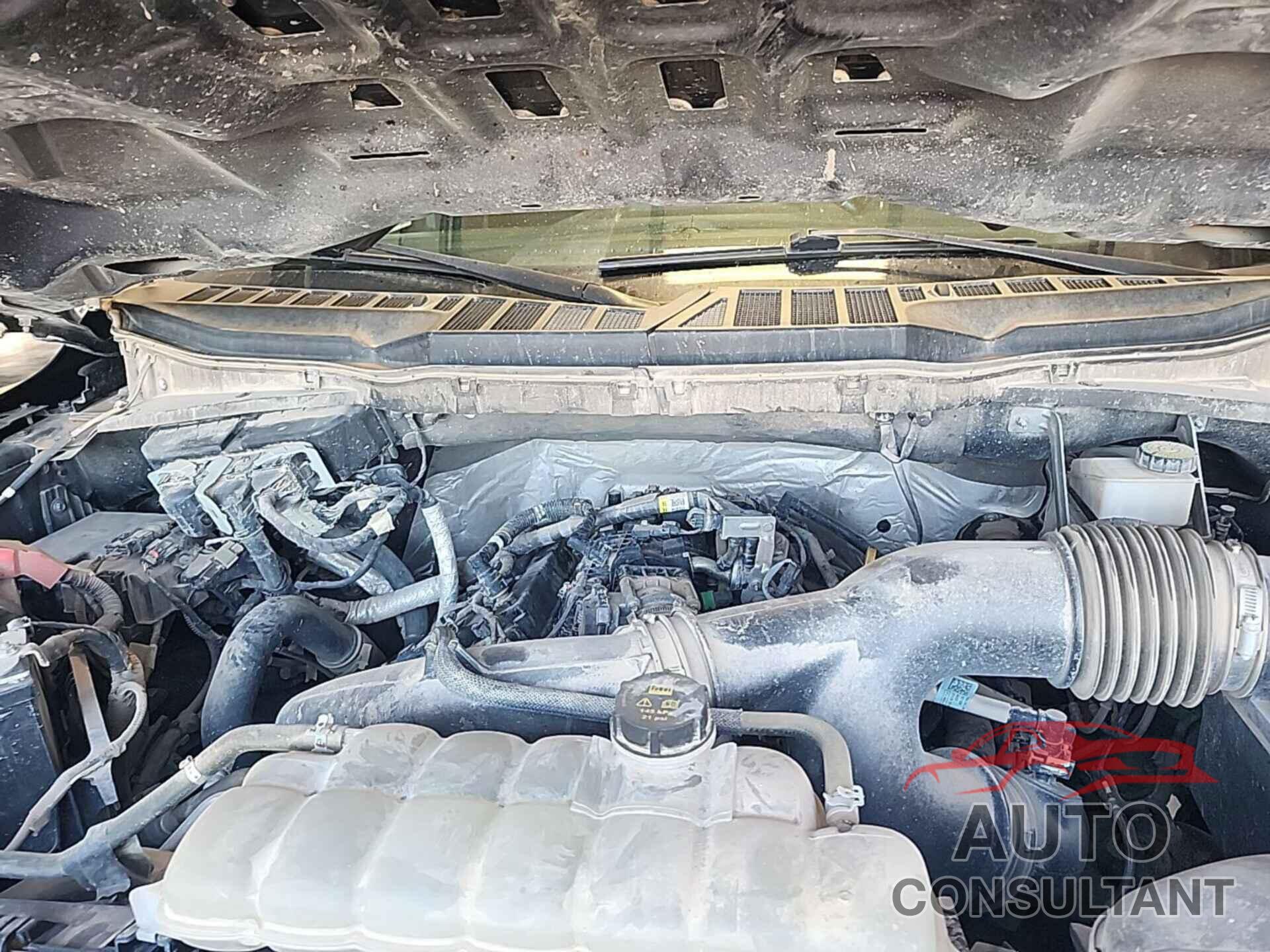 FORD F150 2021 - 1FTEW1EP5MFB86489