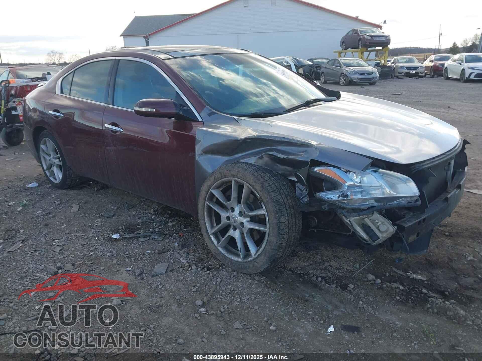 NISSAN MAXIMA 2011 - 1N4AA5AP1BC850270