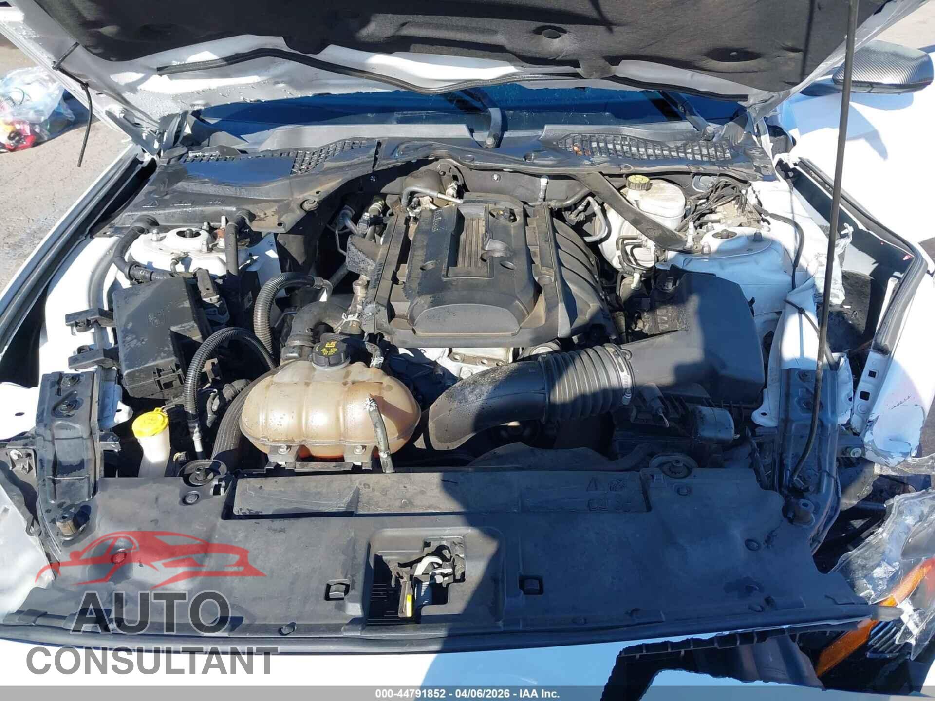 FORD MUSTANG 2019 - 1FATP8UH9K5149381