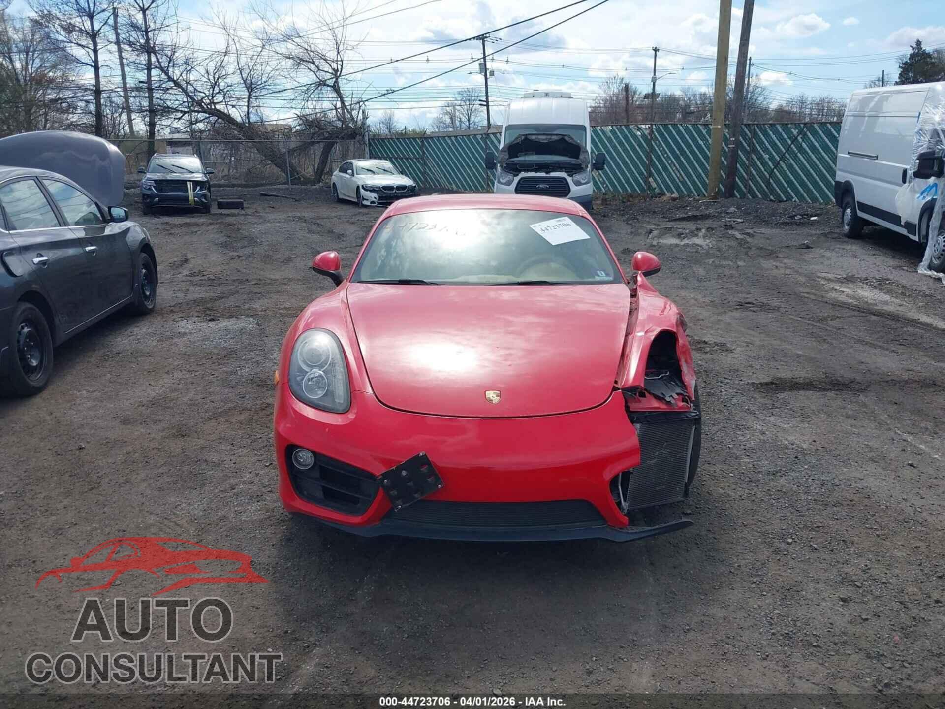 PORSCHE CAYMAN 2015 - WP0AA2A88FK160562
