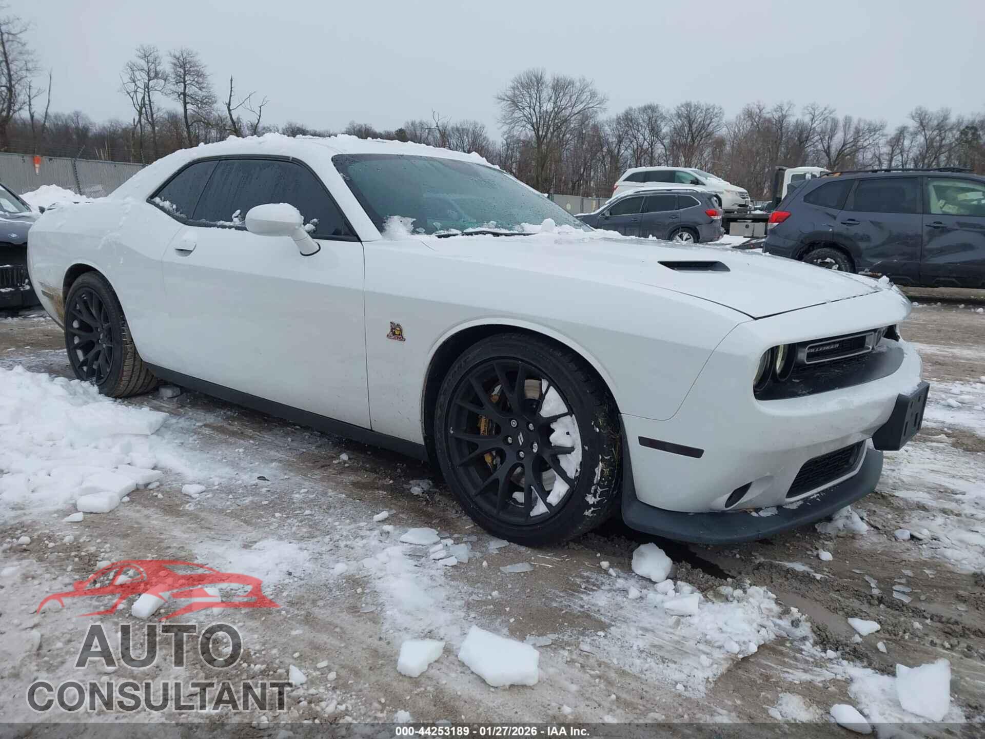 DODGE CHALLENGER 2017 - 2C3CDZFJ6HH593963